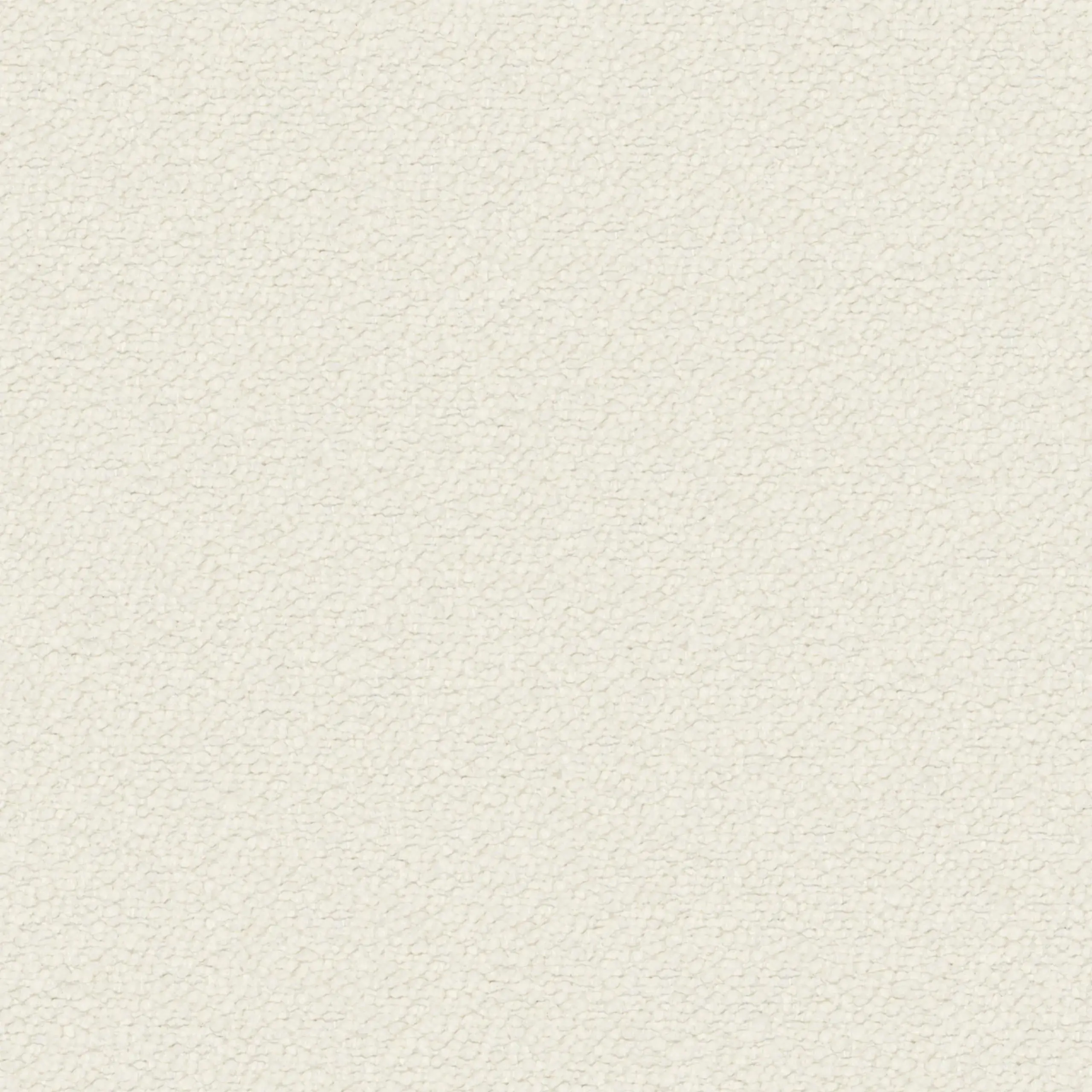 Coconut Milk 21 | Neve