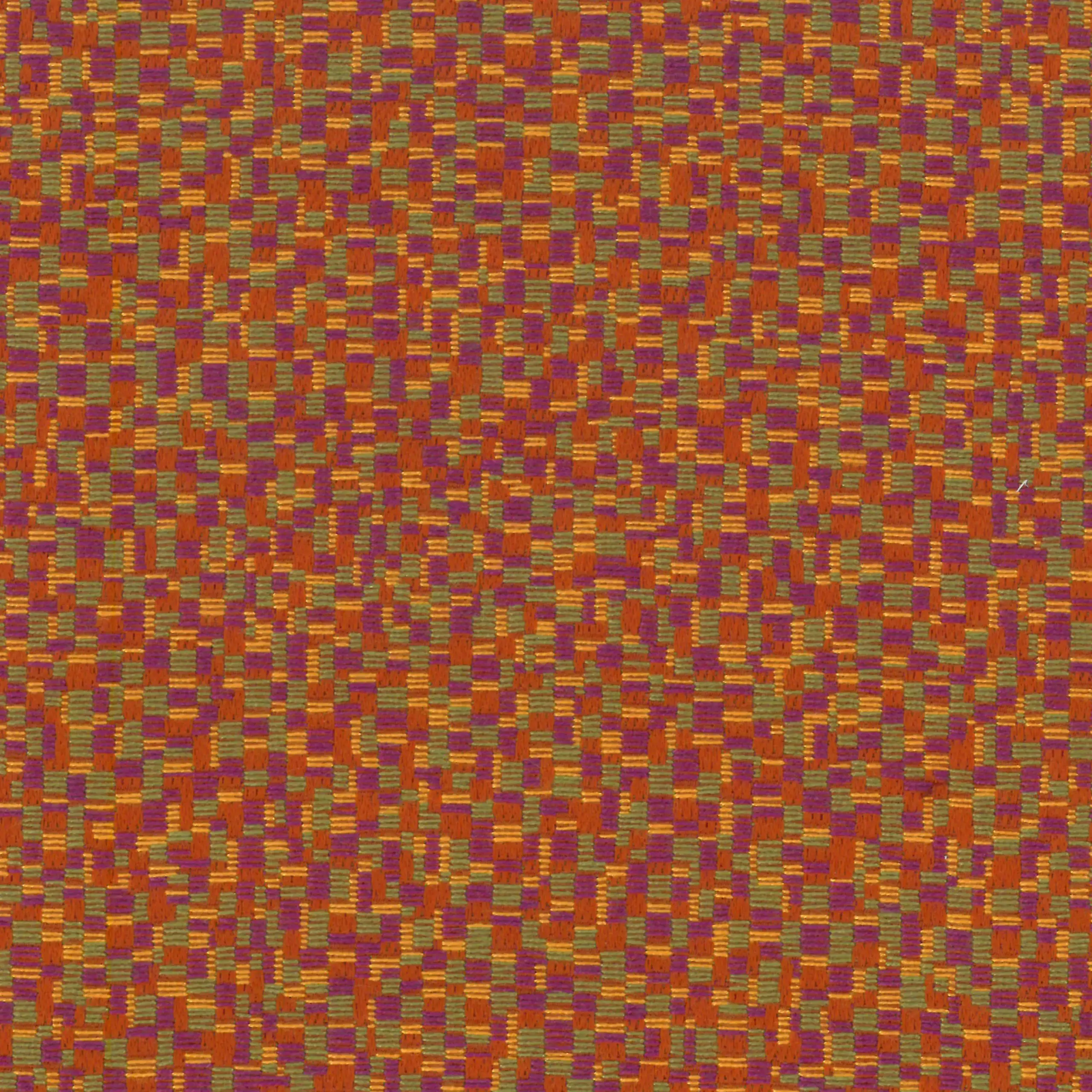 Apricot 3 | Olivier