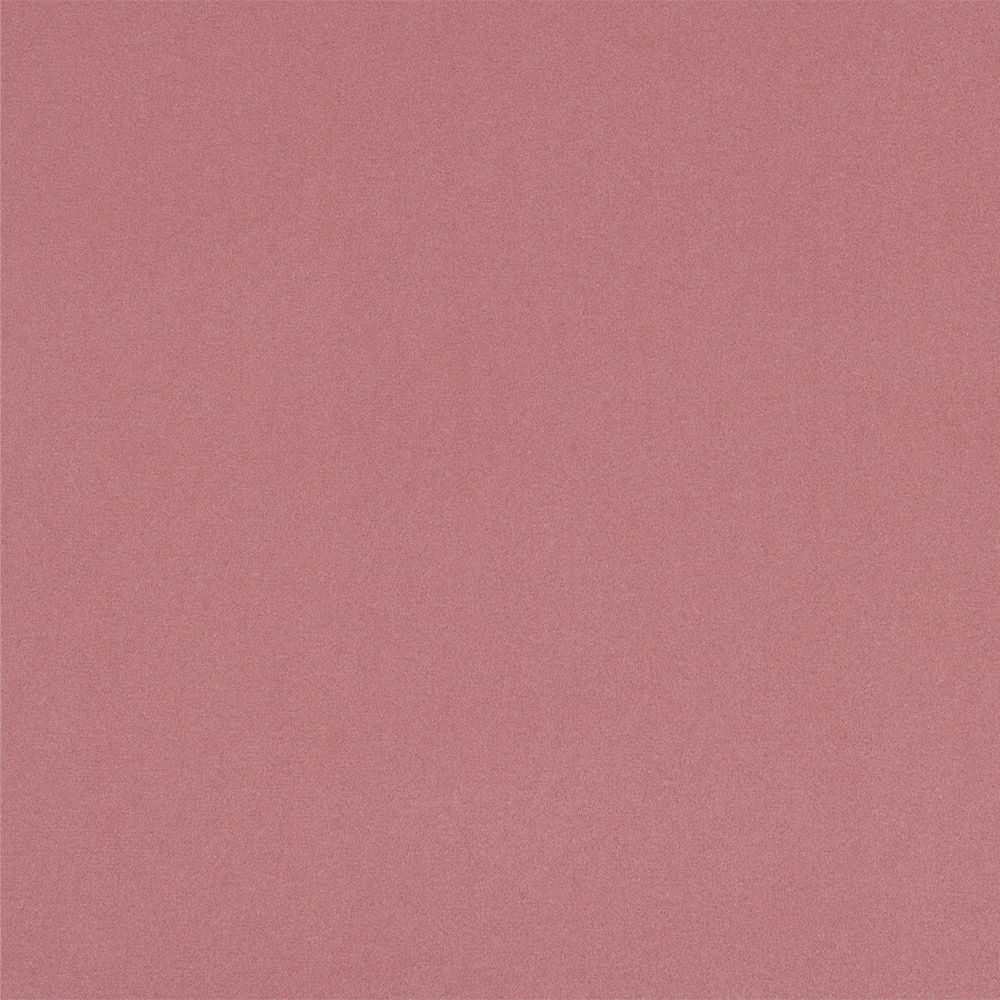 Ash Rose 06 | Sorano