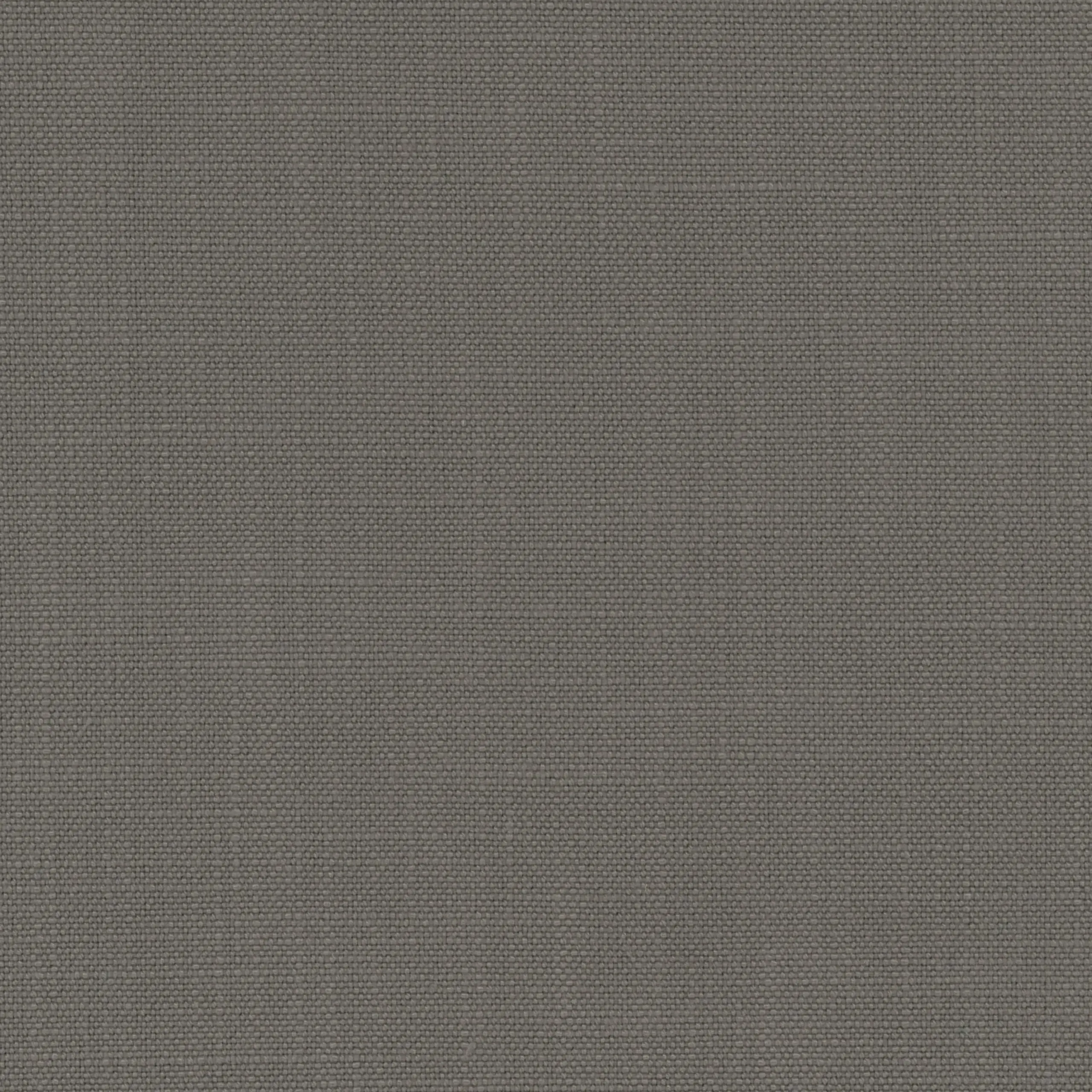Grey 83 | Morris