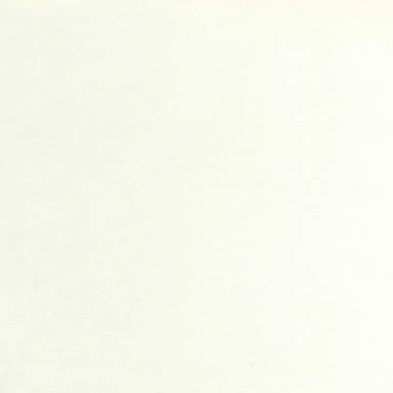 White 02