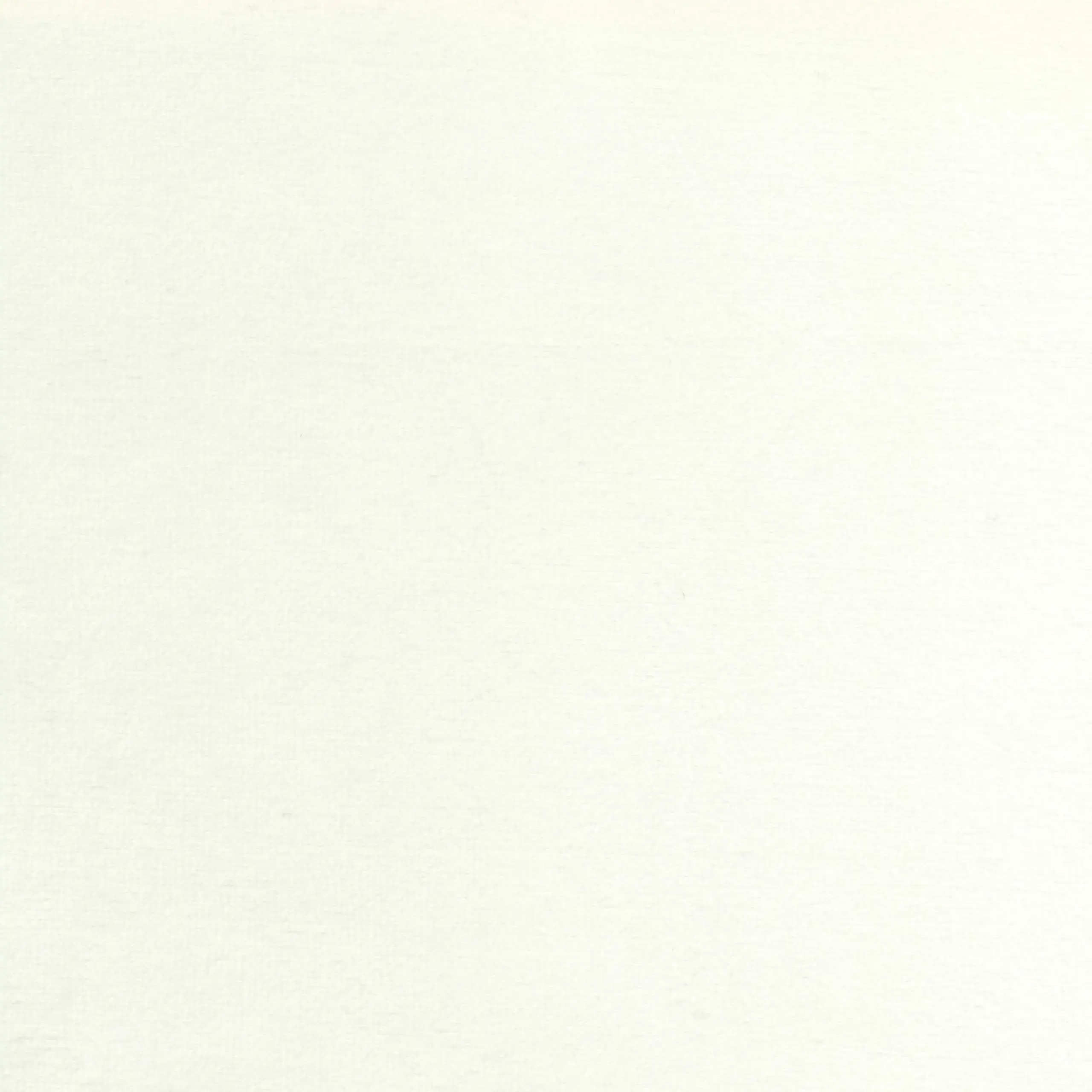 White 02 | Jason
