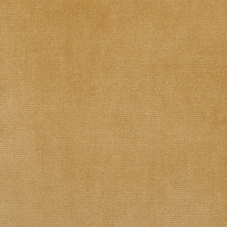 Corn 02