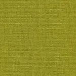 Kiwi 501 | Petrus