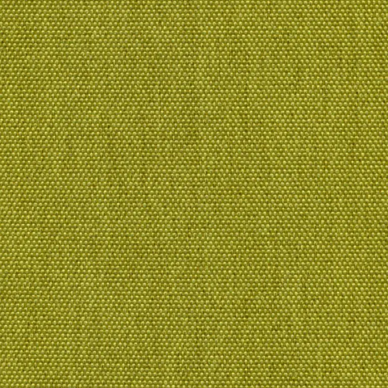 Kiwi 501