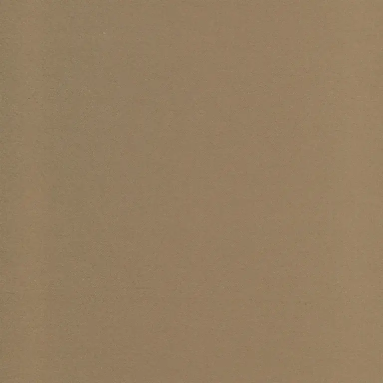 Fossil 38