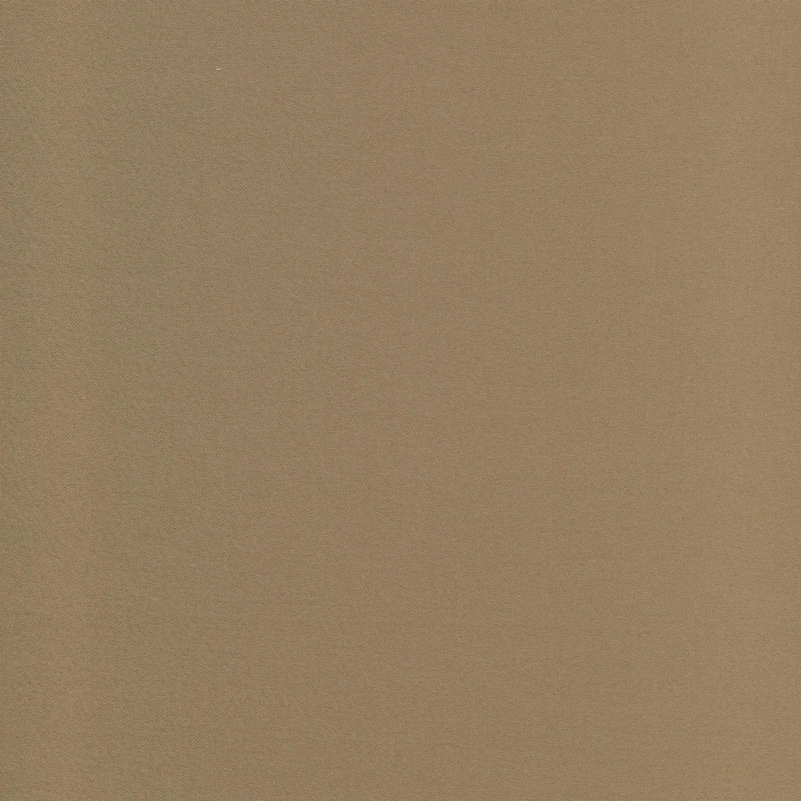 Fossil 38 | Salome