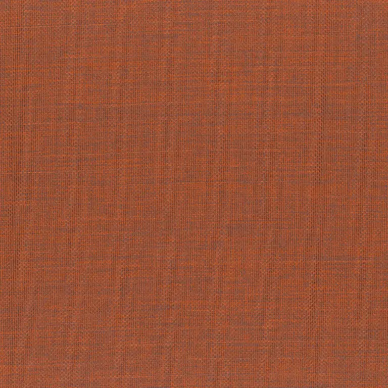 Cinnamon 06