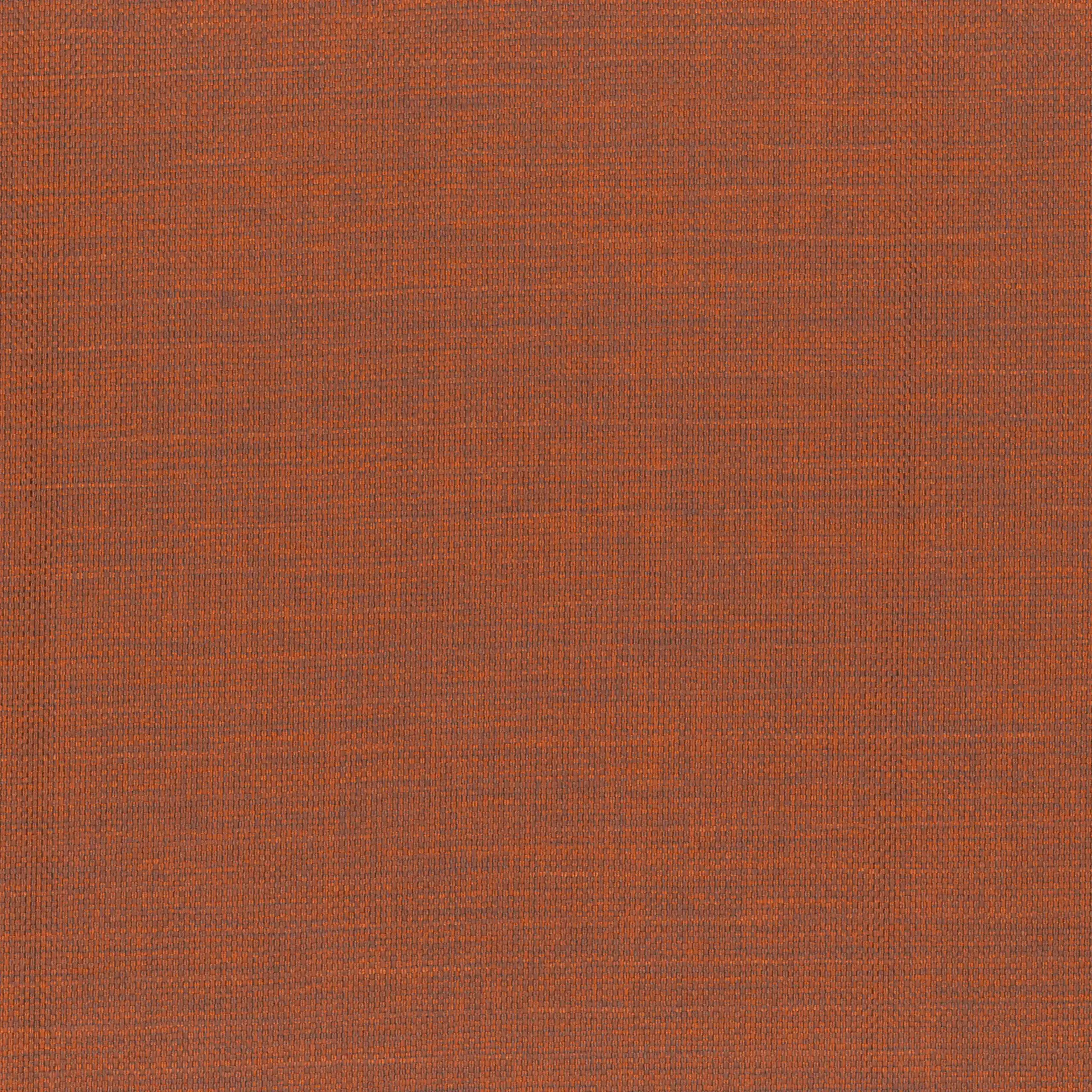 Cinnamon 06 | Murano