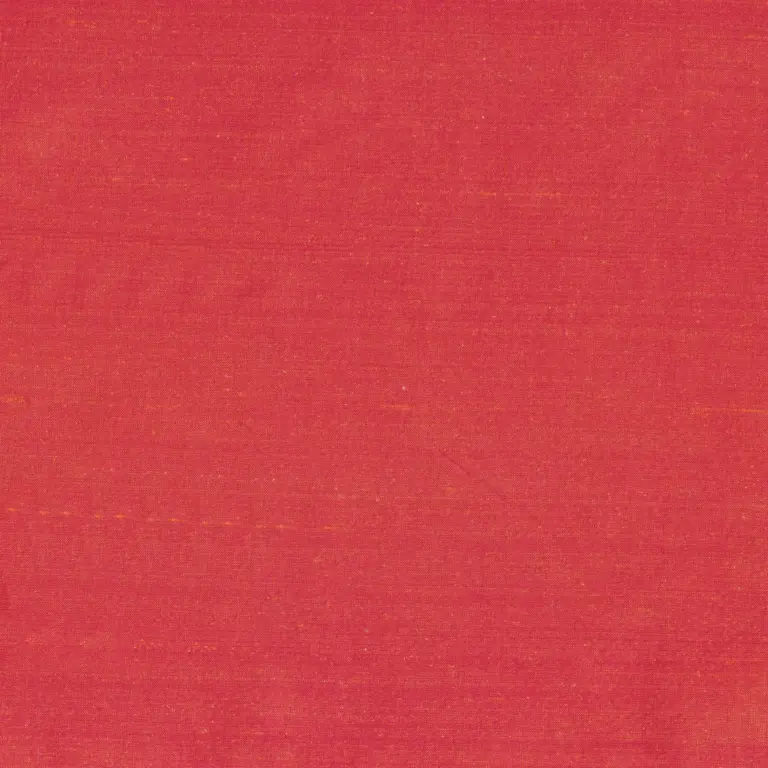 Sorbet 1551