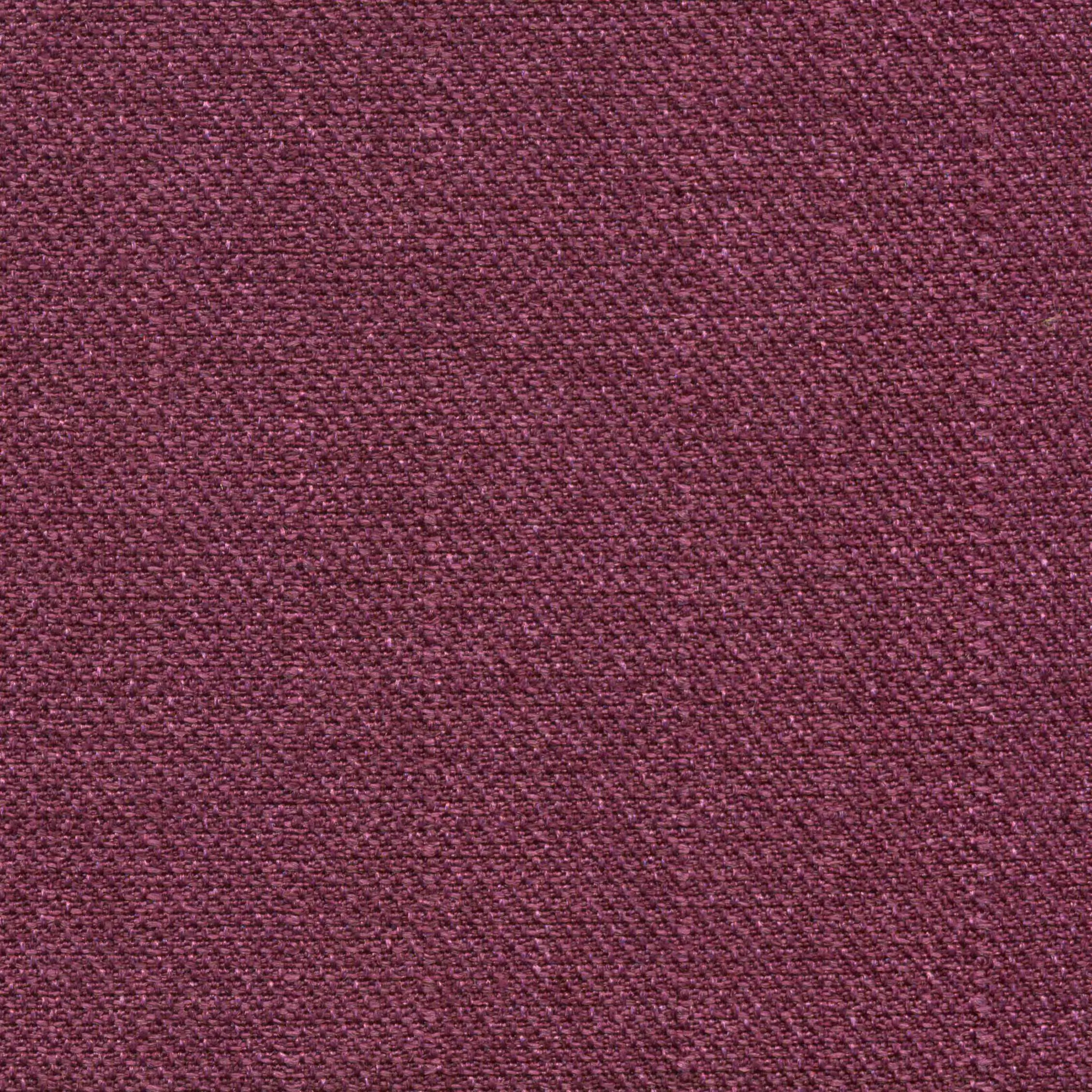 Dahlia 855 | Saute