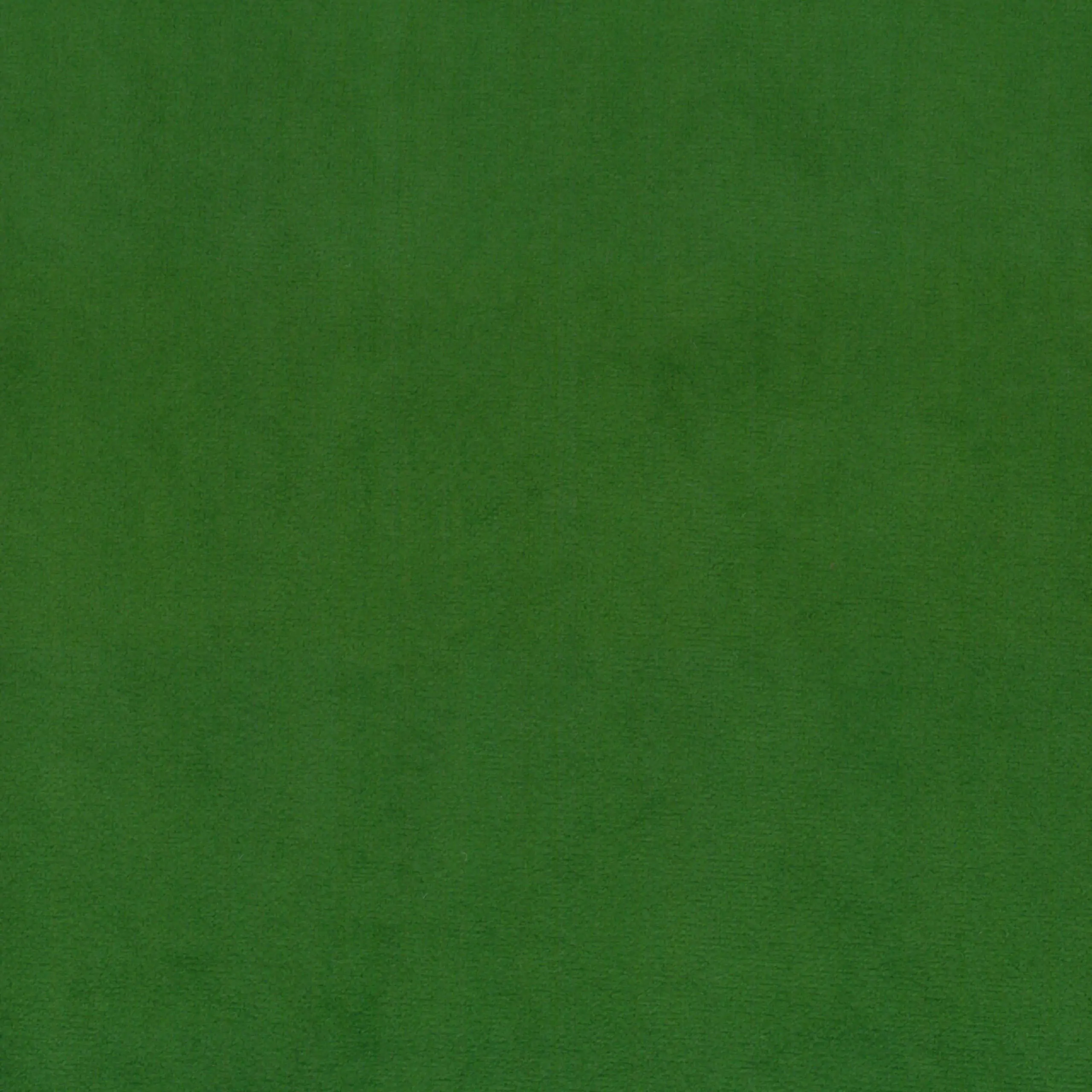 Basil 08 | Scot
