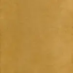 Amber 01 | Samanta