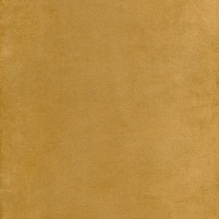 Amber 01