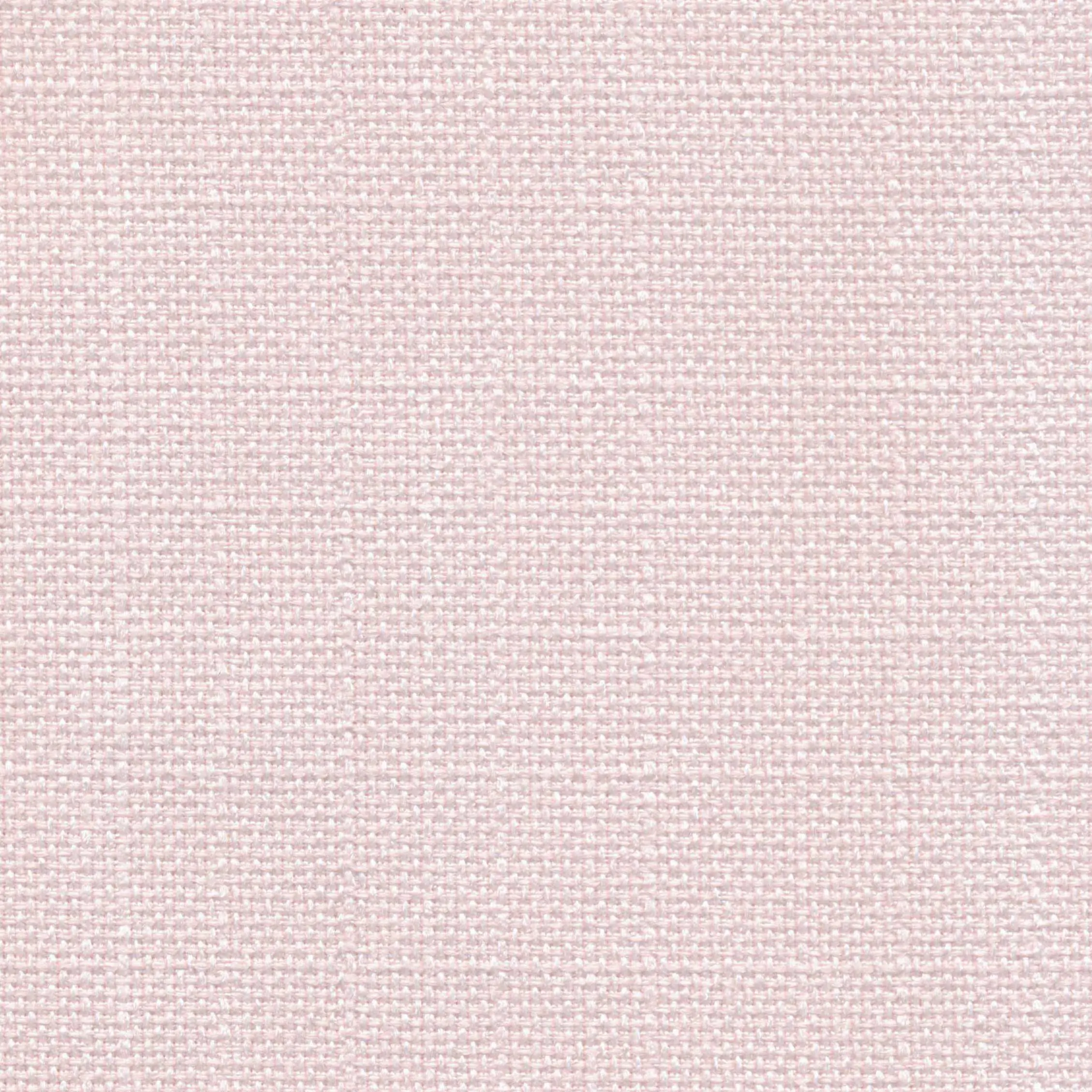 Petal 639 | Saute