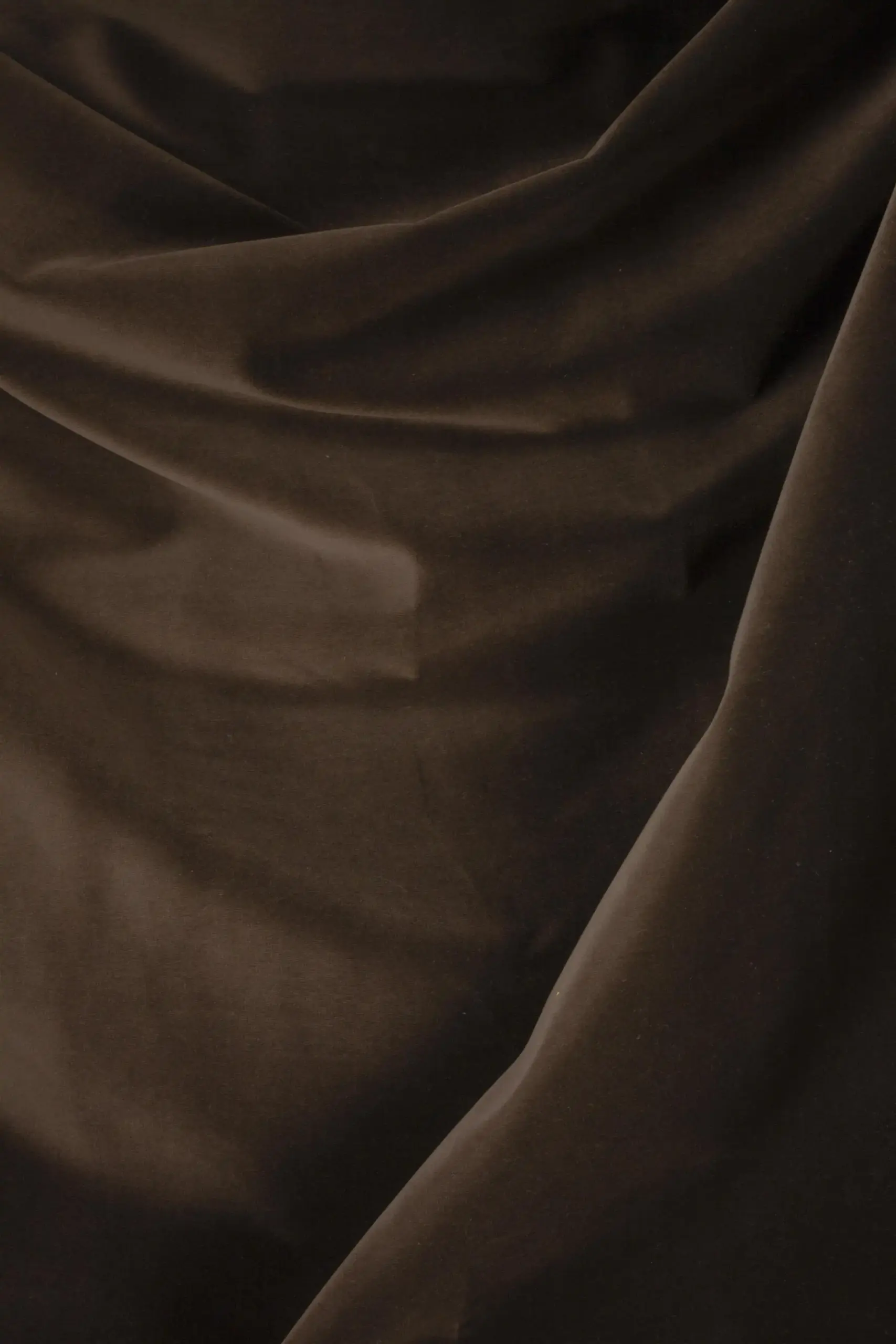 Cherry 04 | Renard