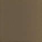 Griffin 02 | Salome