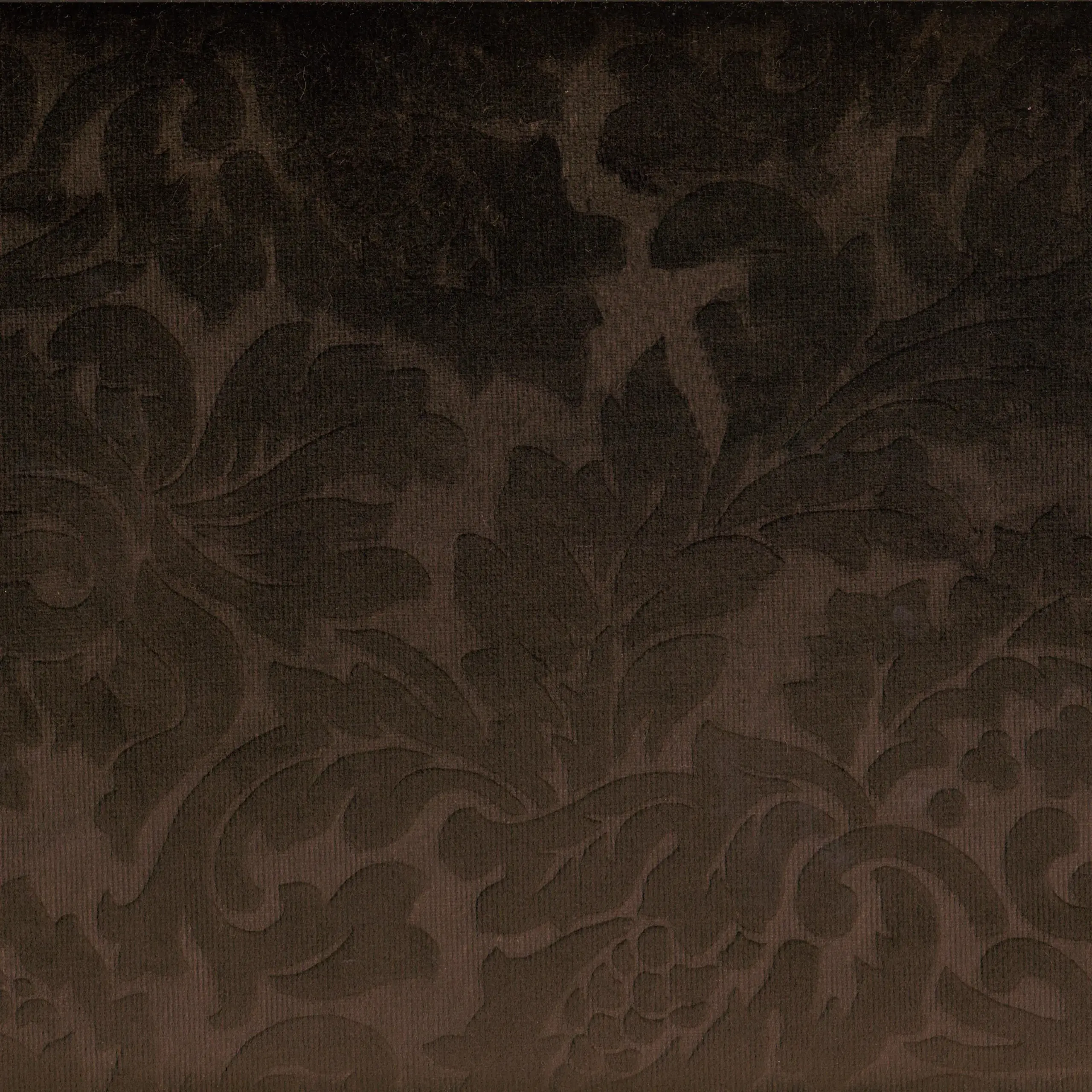 Brown 36 | Yvon