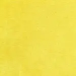 Sunflower 47 | Verner