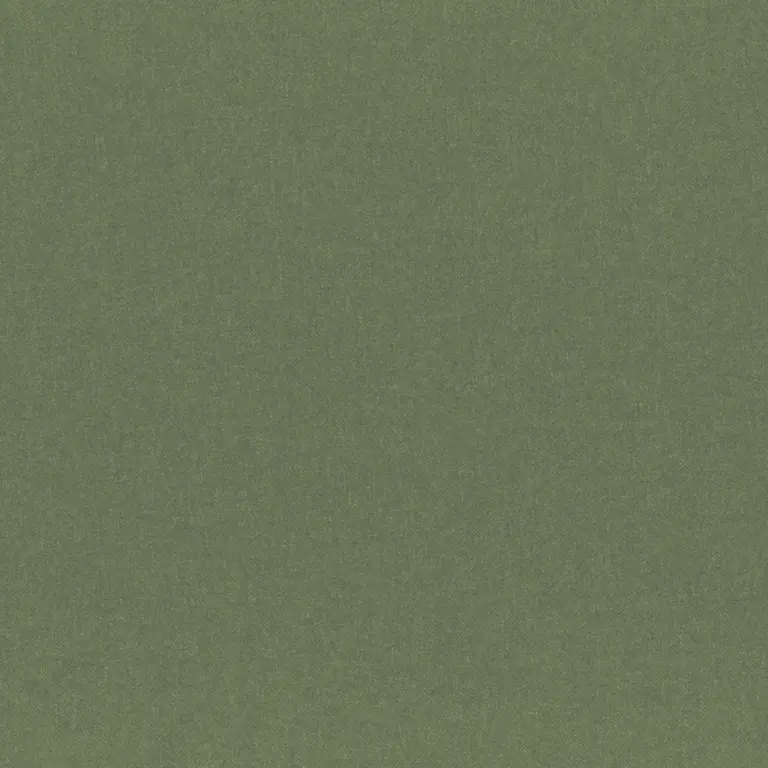 Capulet Olive 21