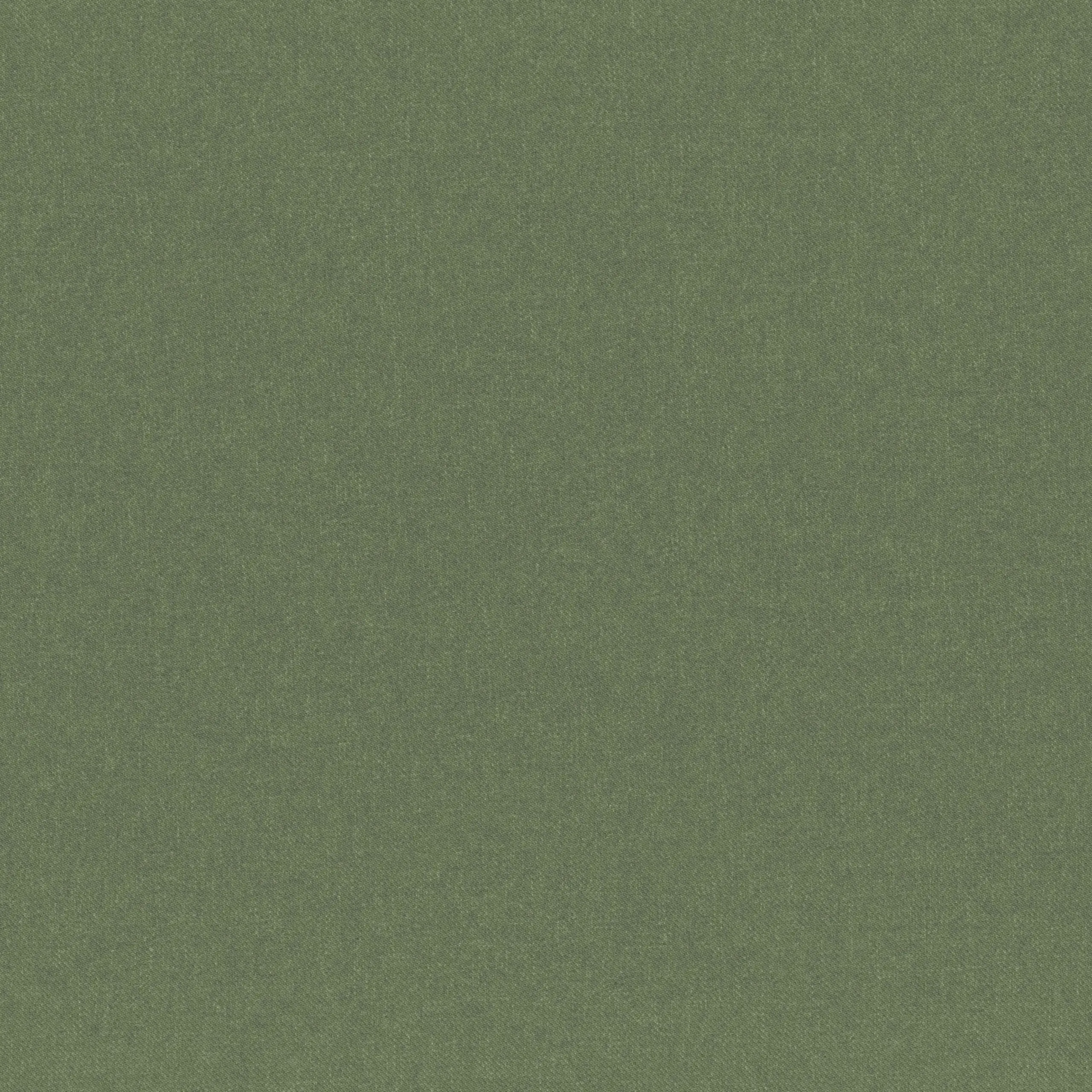 Capulet Olive 21 | Linea