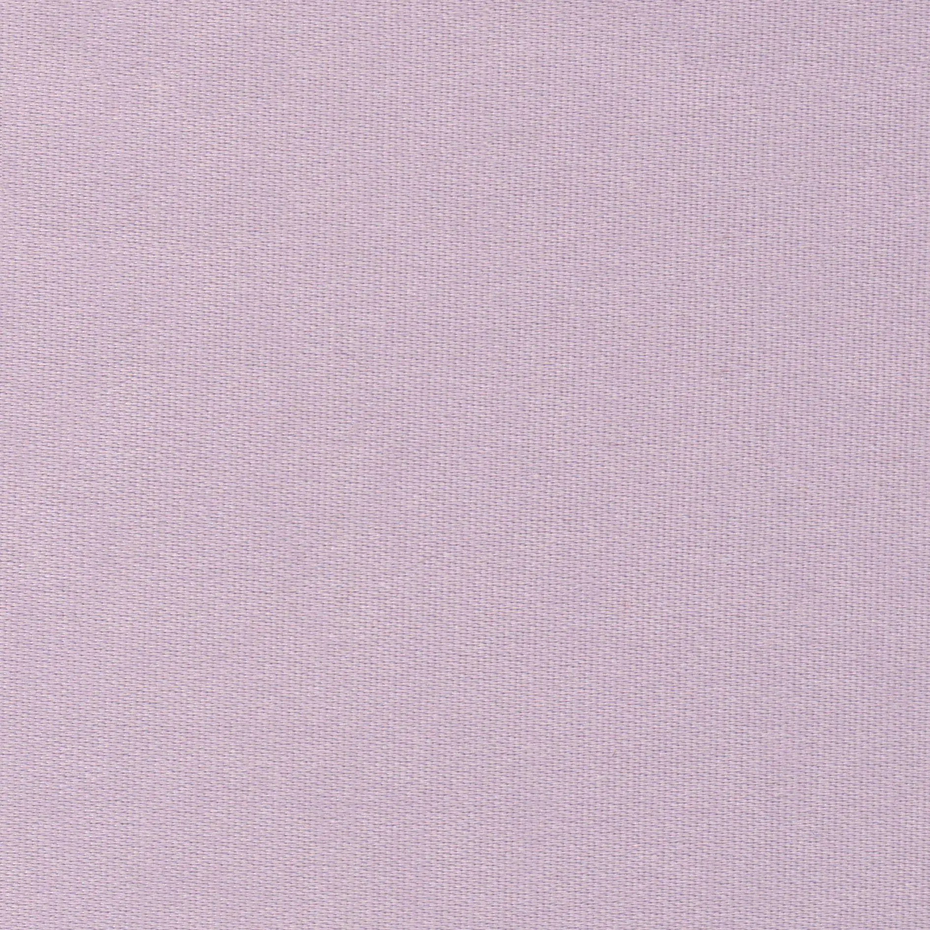 Petal 29 | Melba