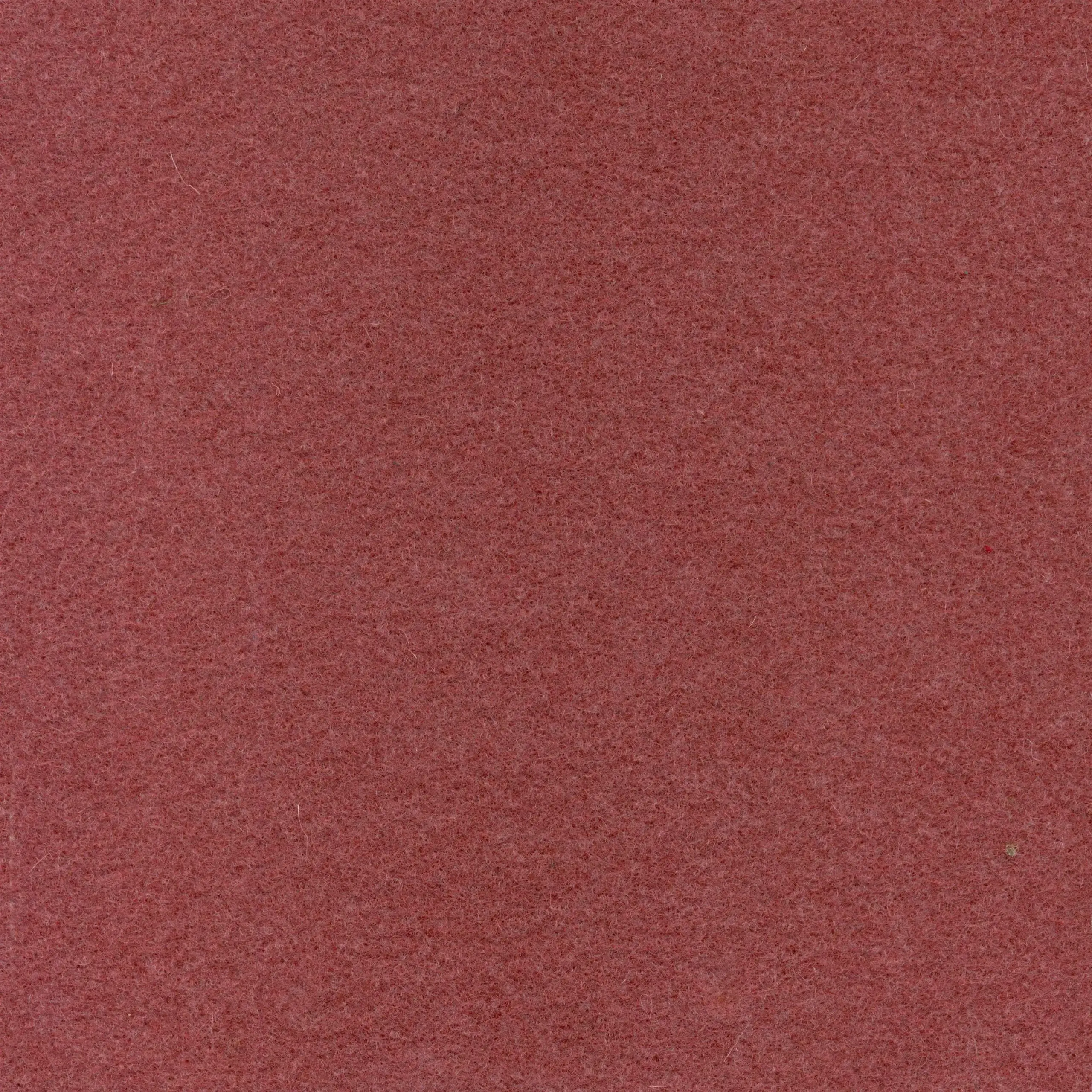 Sorbet 973 | Walt