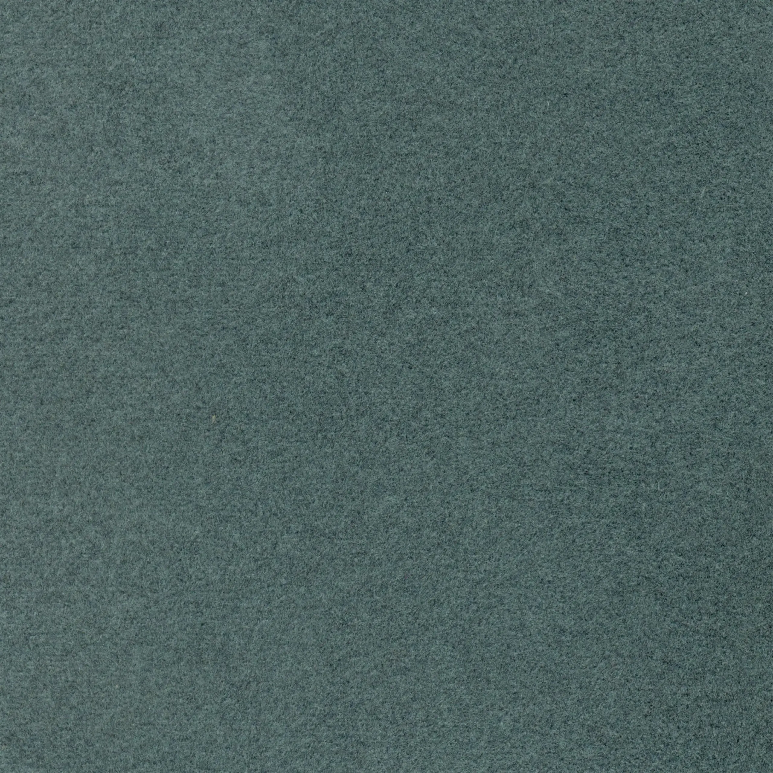 Denim 14 | Sigma