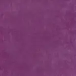 Fuchsia 25 | Palmer