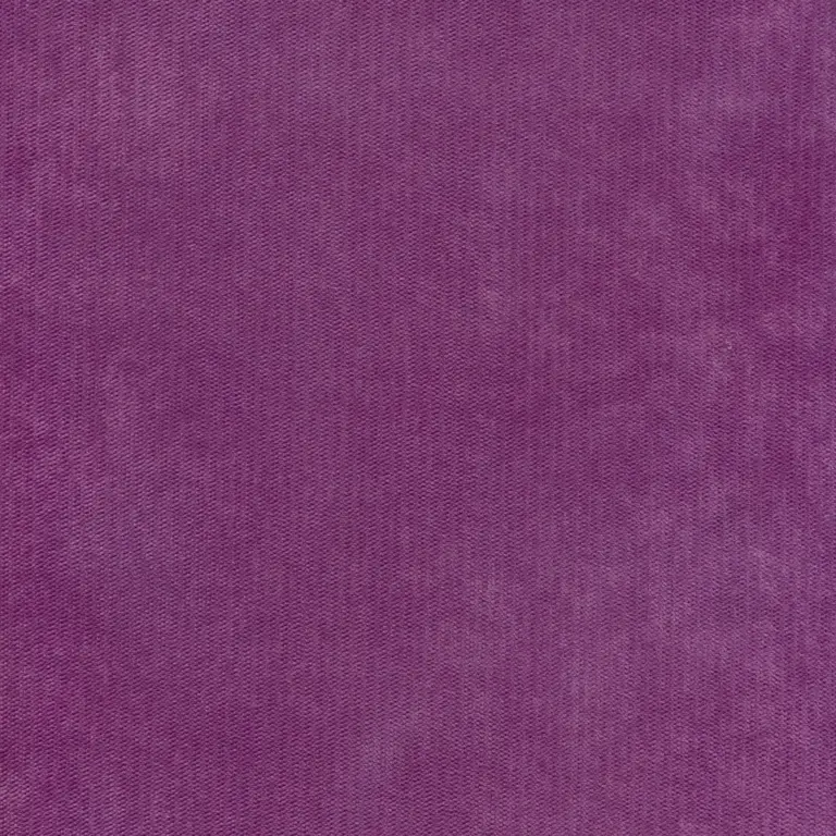 Fuchsia 25