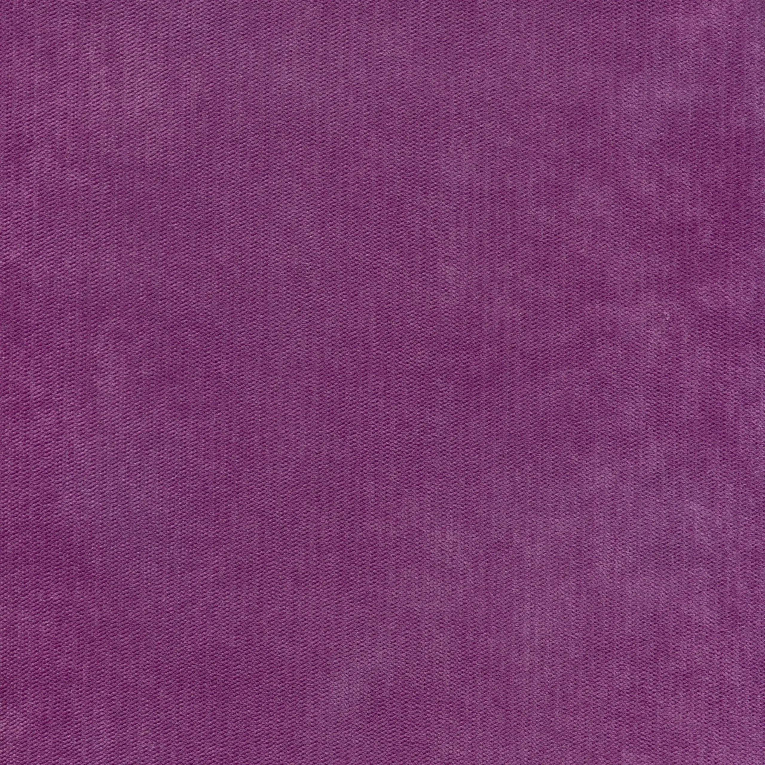 Fuchsia 25 | Palmer