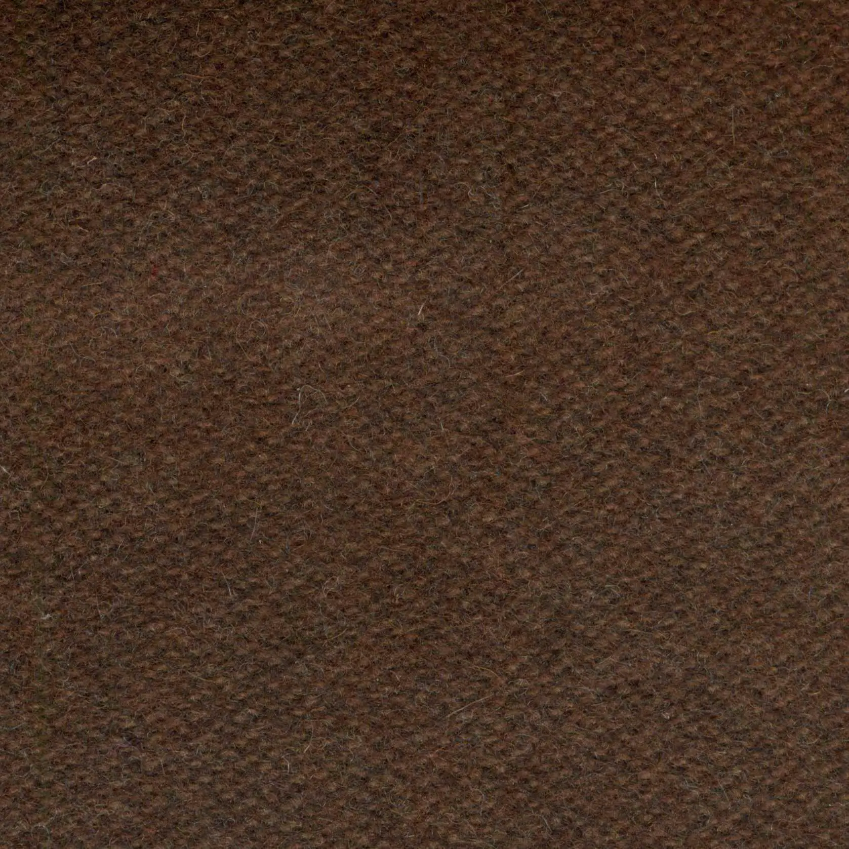 Hazel 524 | Savoy FR