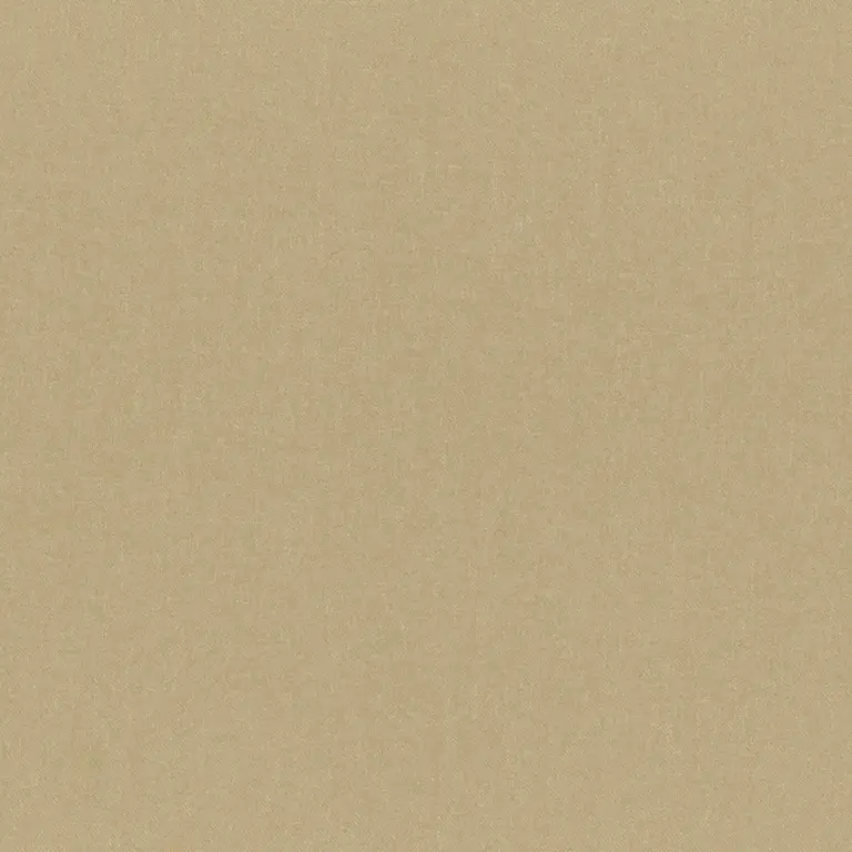 Tan 12
