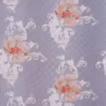 Apricot 05 | Janet