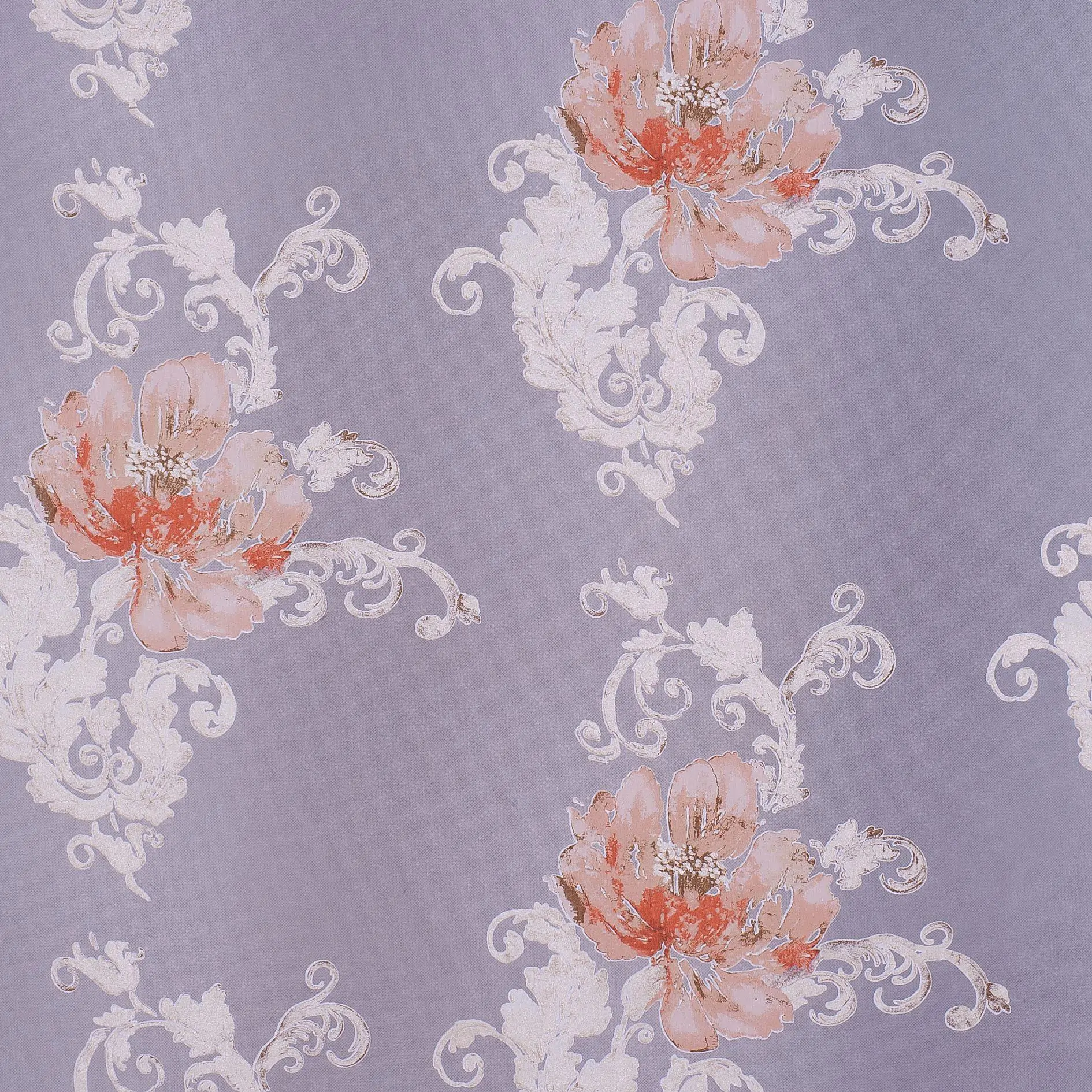 Apricot 05 | Janet