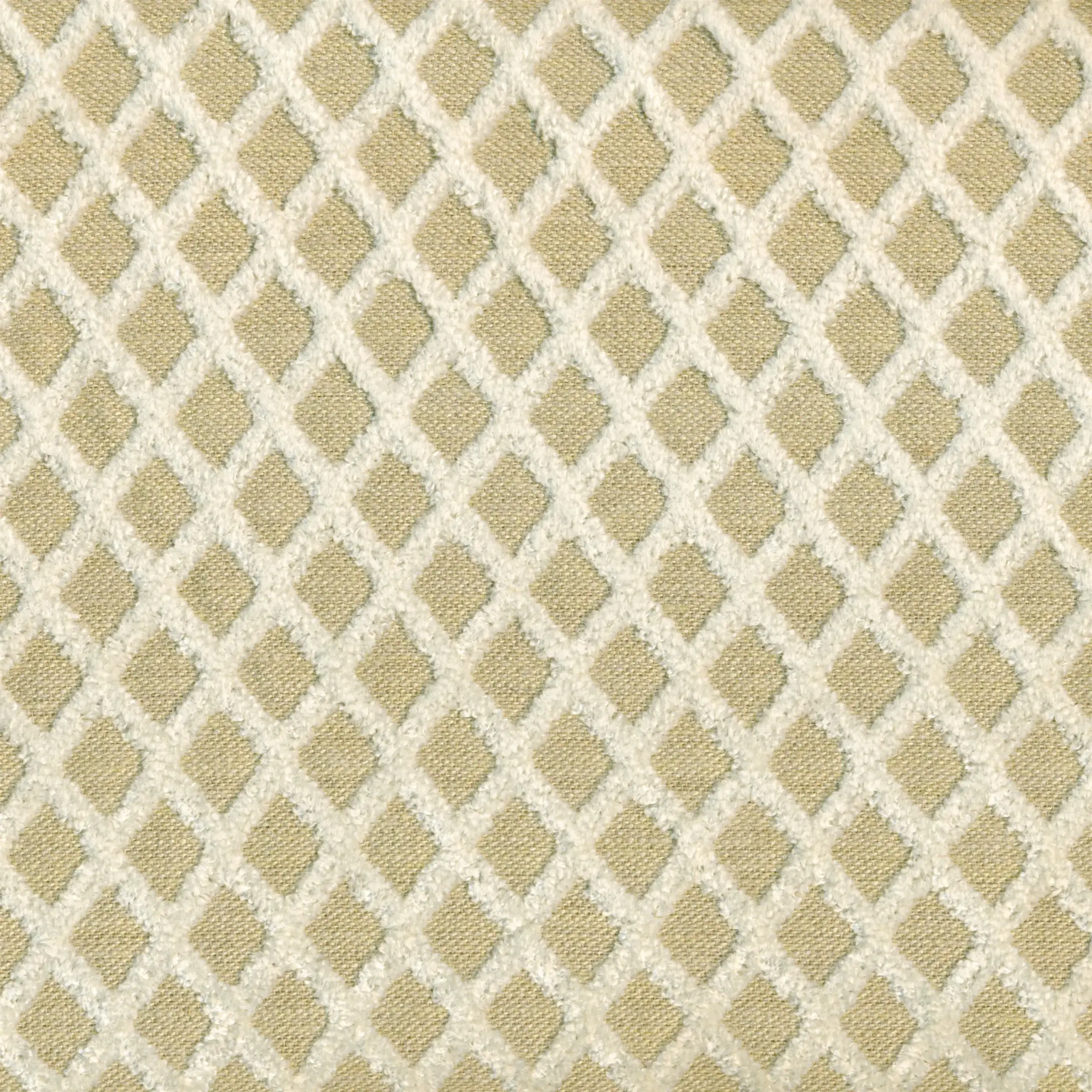 White 46 | Lucian
