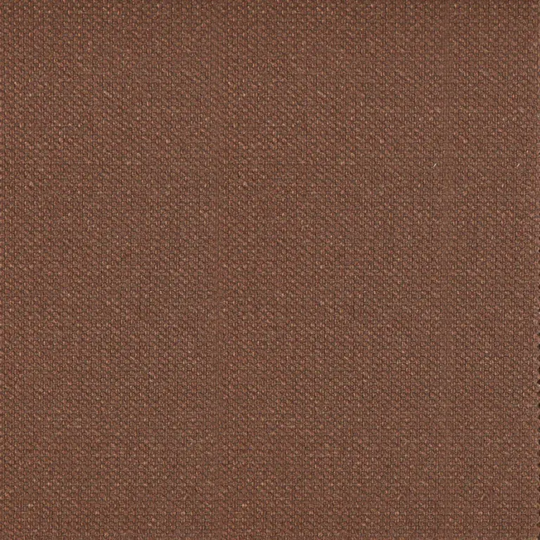 Brownie 028