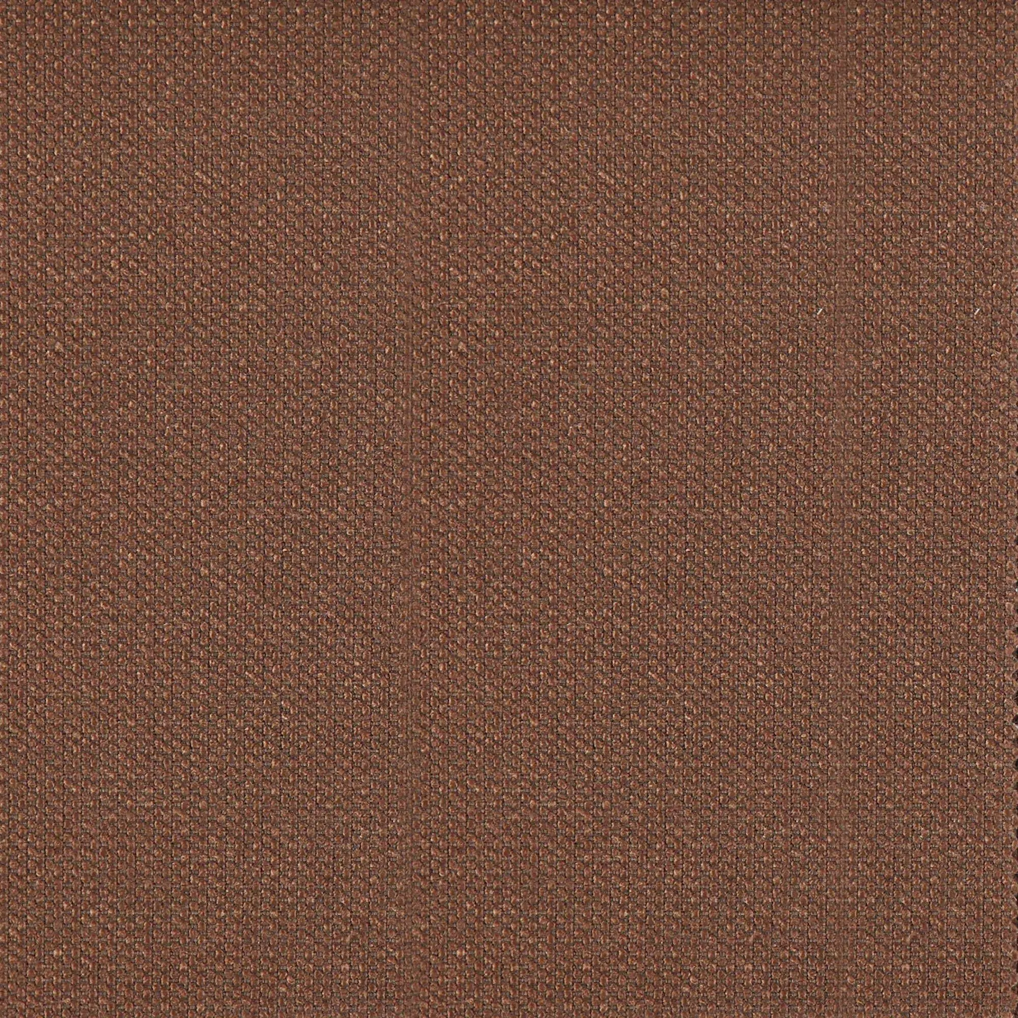 Brownie 028 | Premier