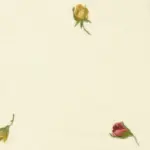 3 | Prints