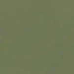 Olive 046 | Nestor