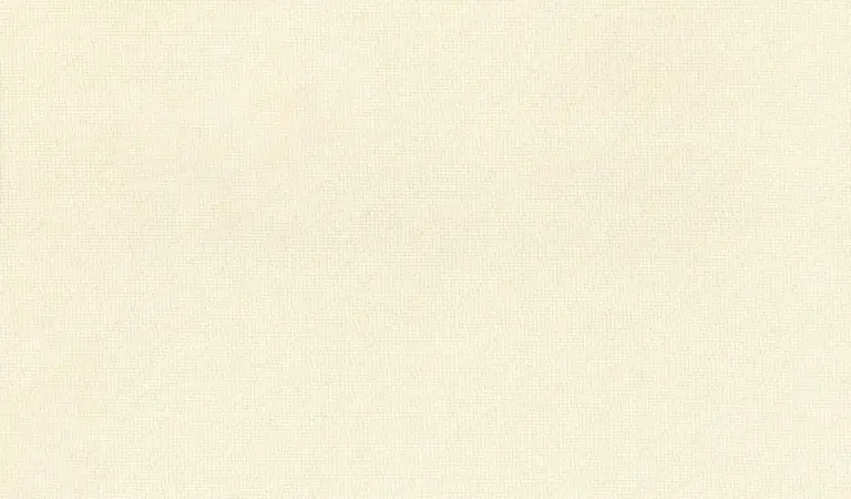 Tofu 08