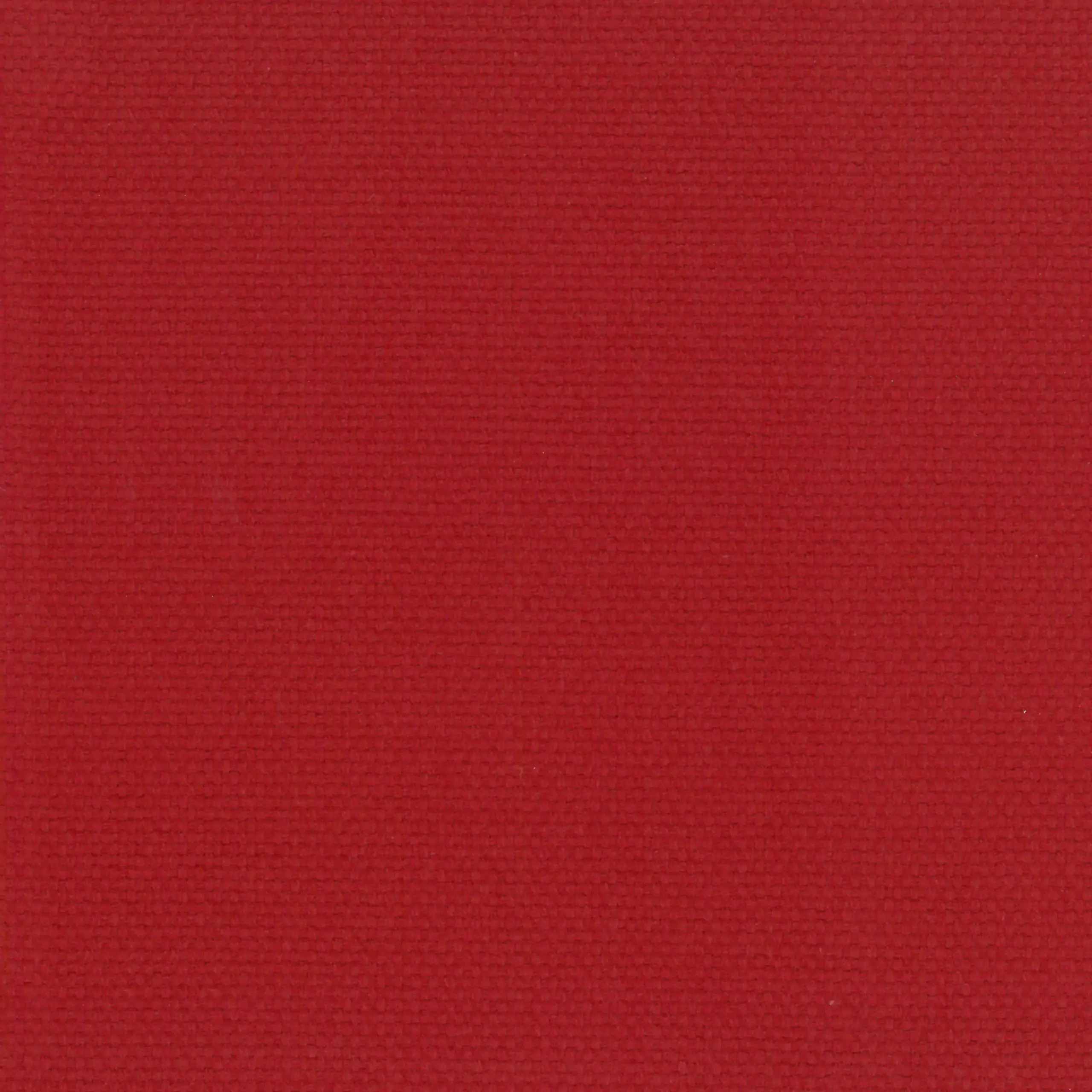 Ruby 25 | Ringo