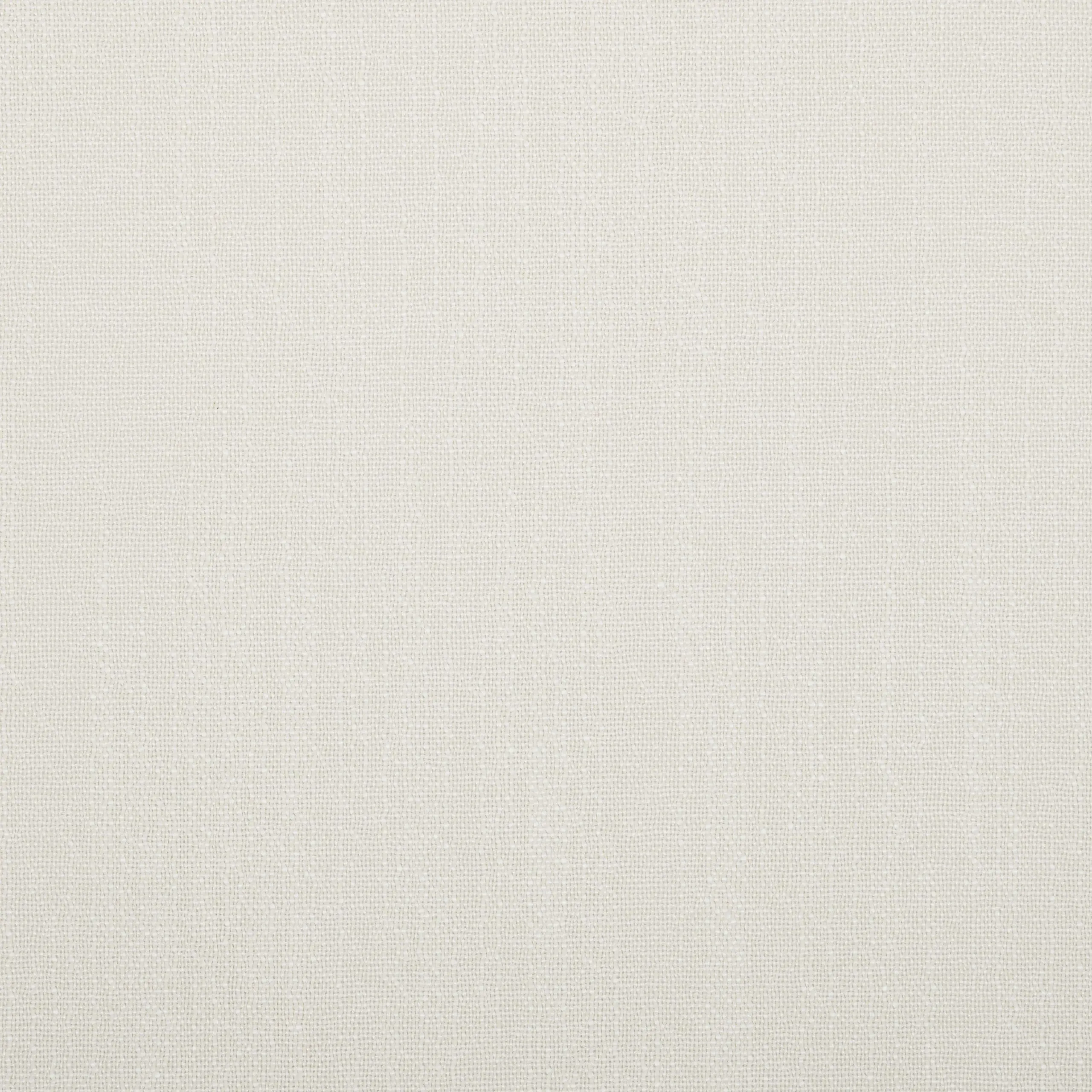 White Alyssum 80 | Savona