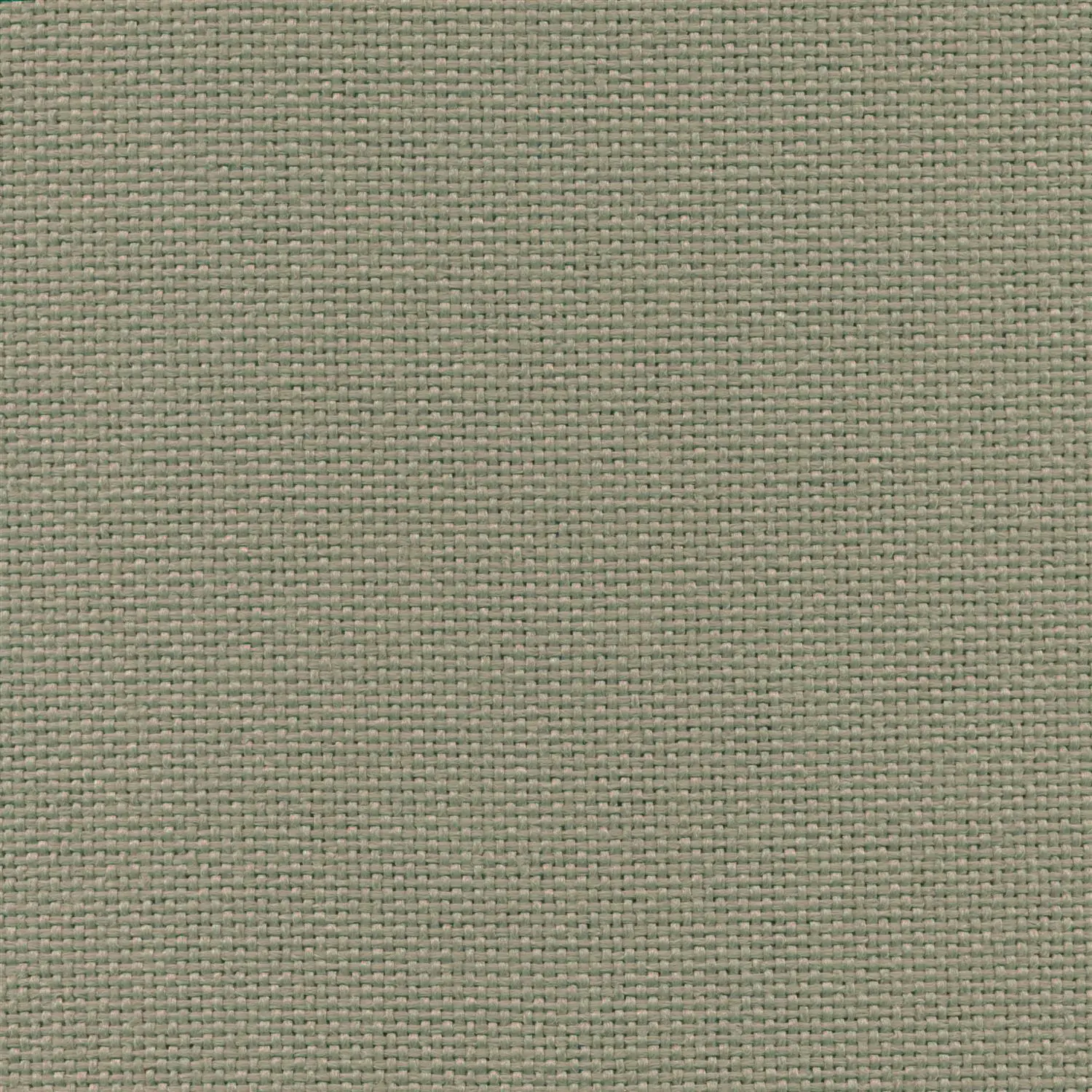 Tin 02 | Trenza