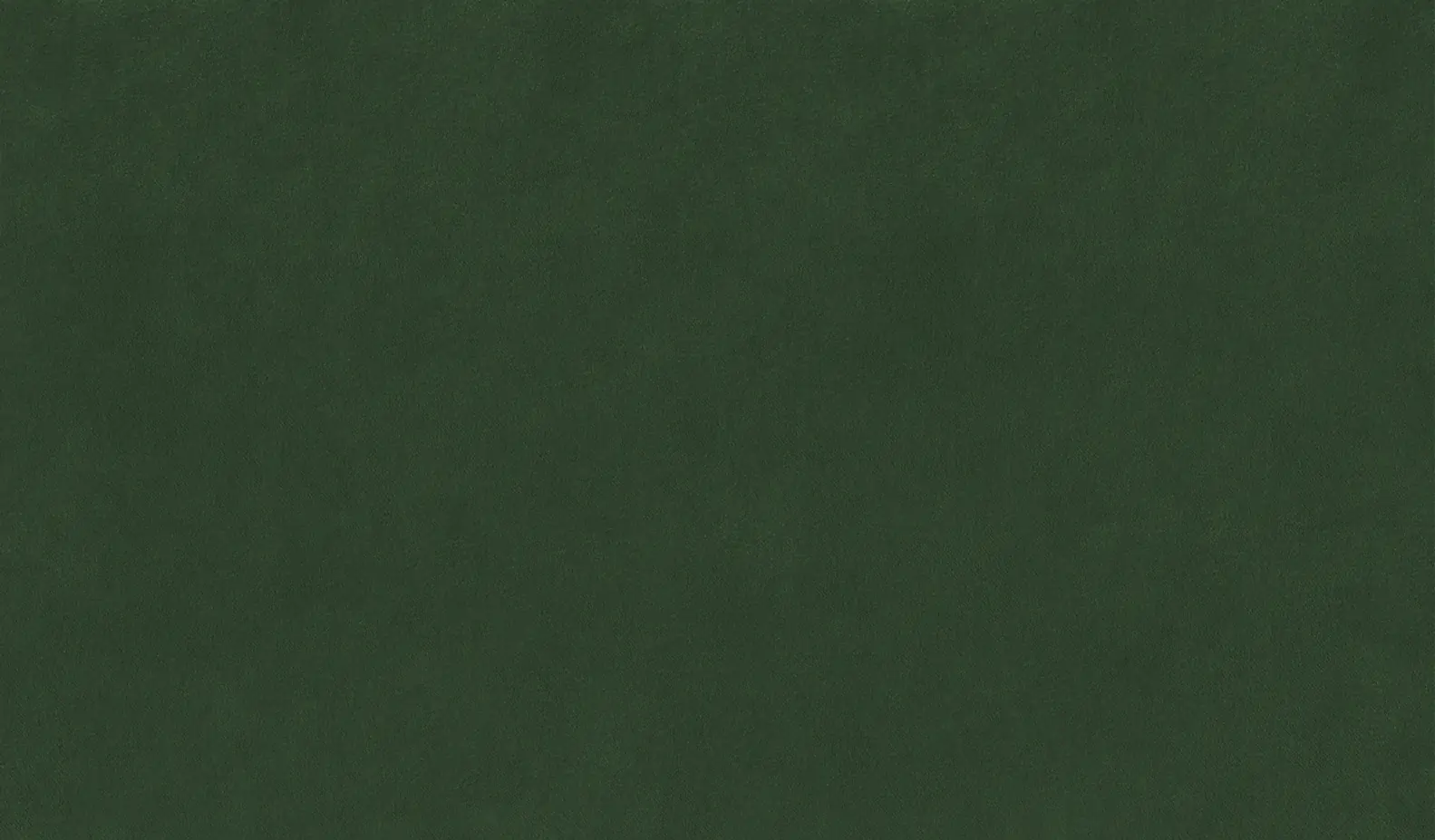 Pine 40 | Tivoli