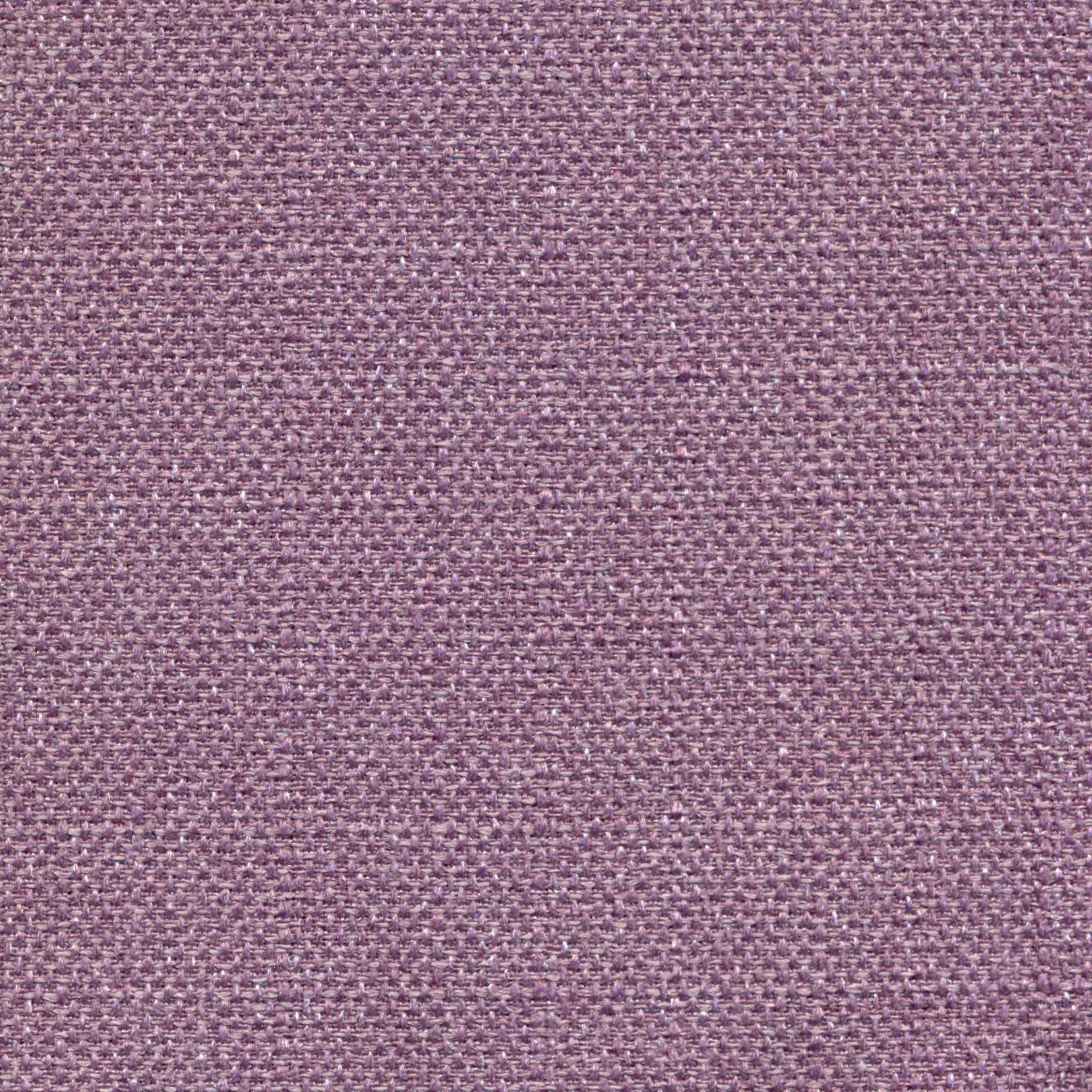 Violet 227 | Saute