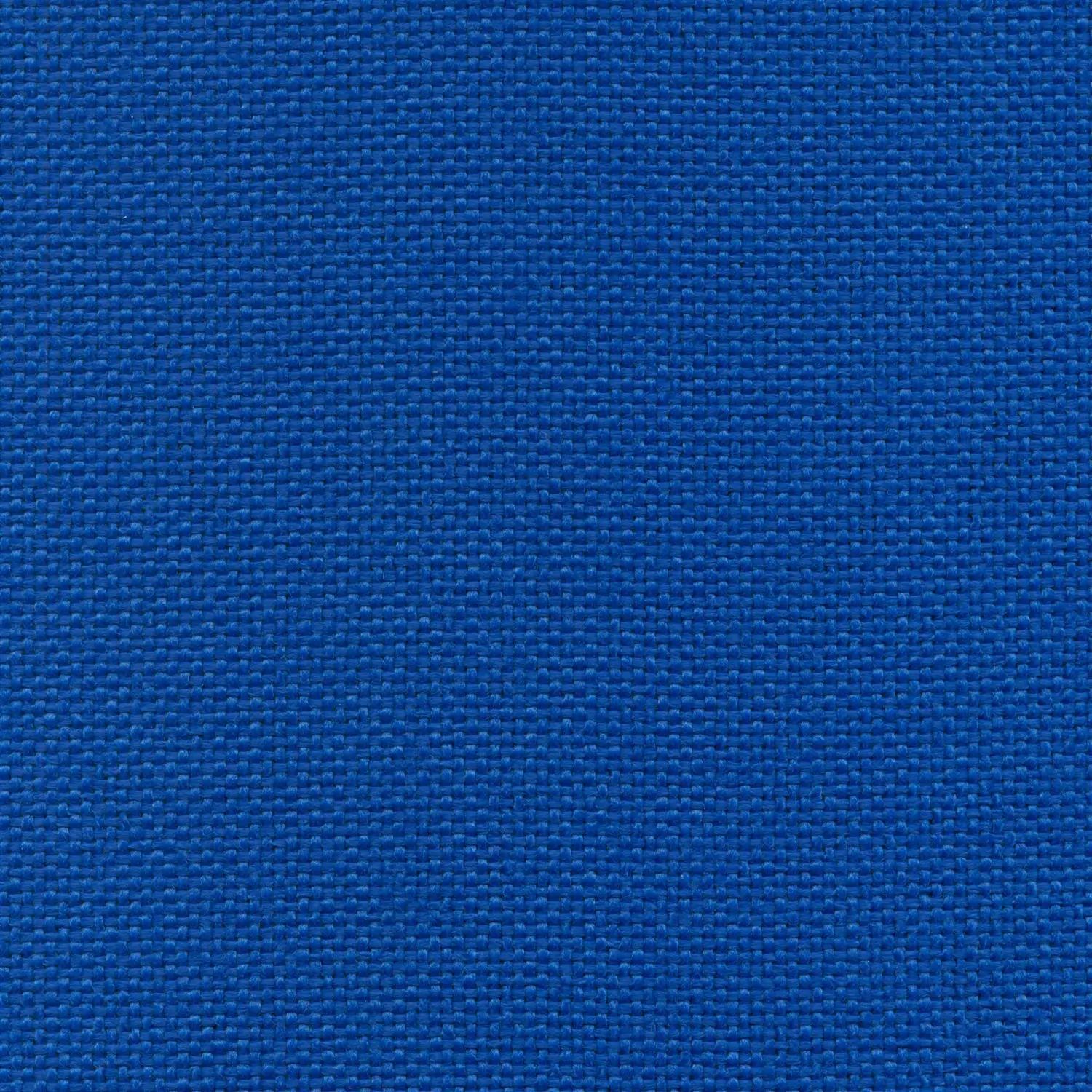 Navy 07 | Trenza