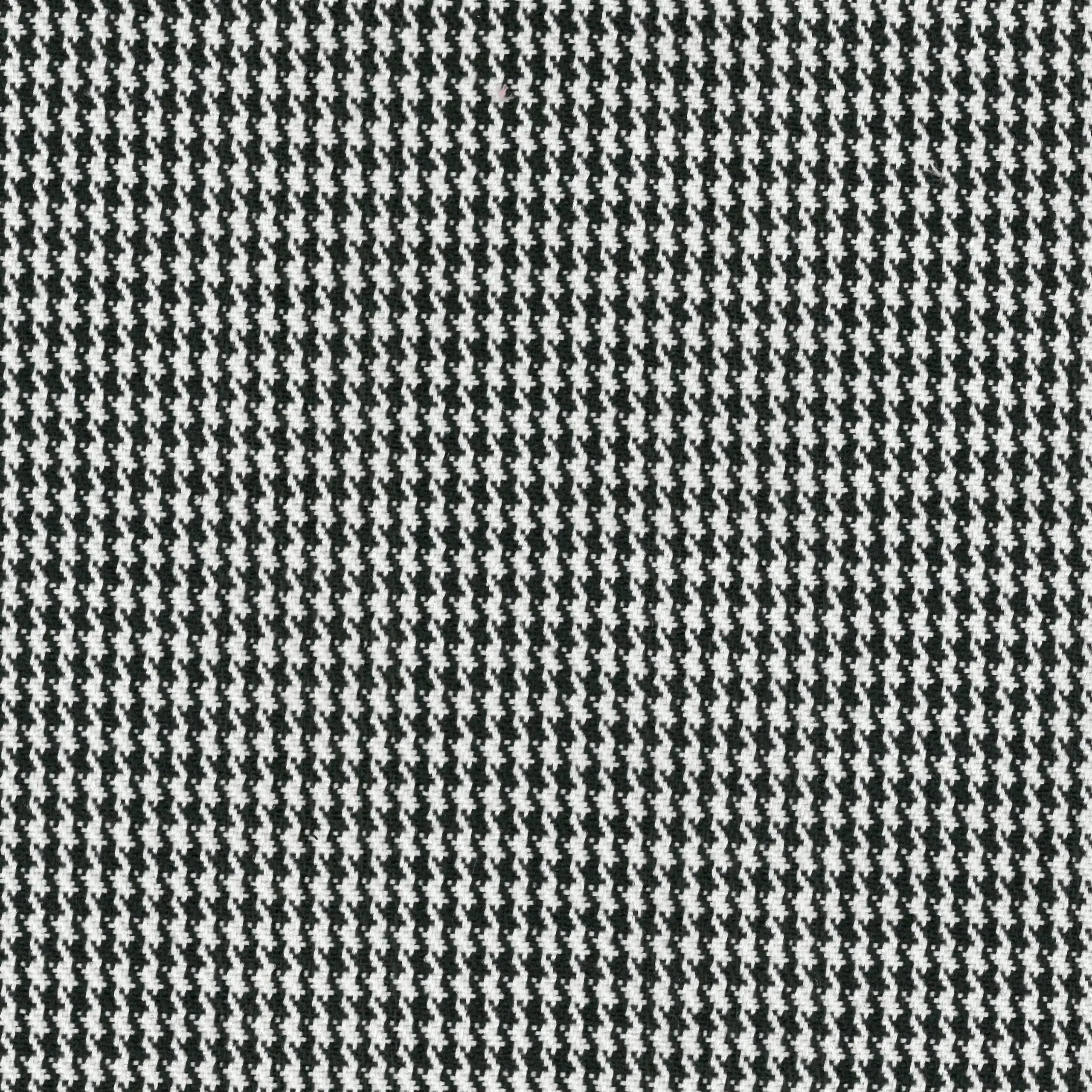 Black 251 | Pedro