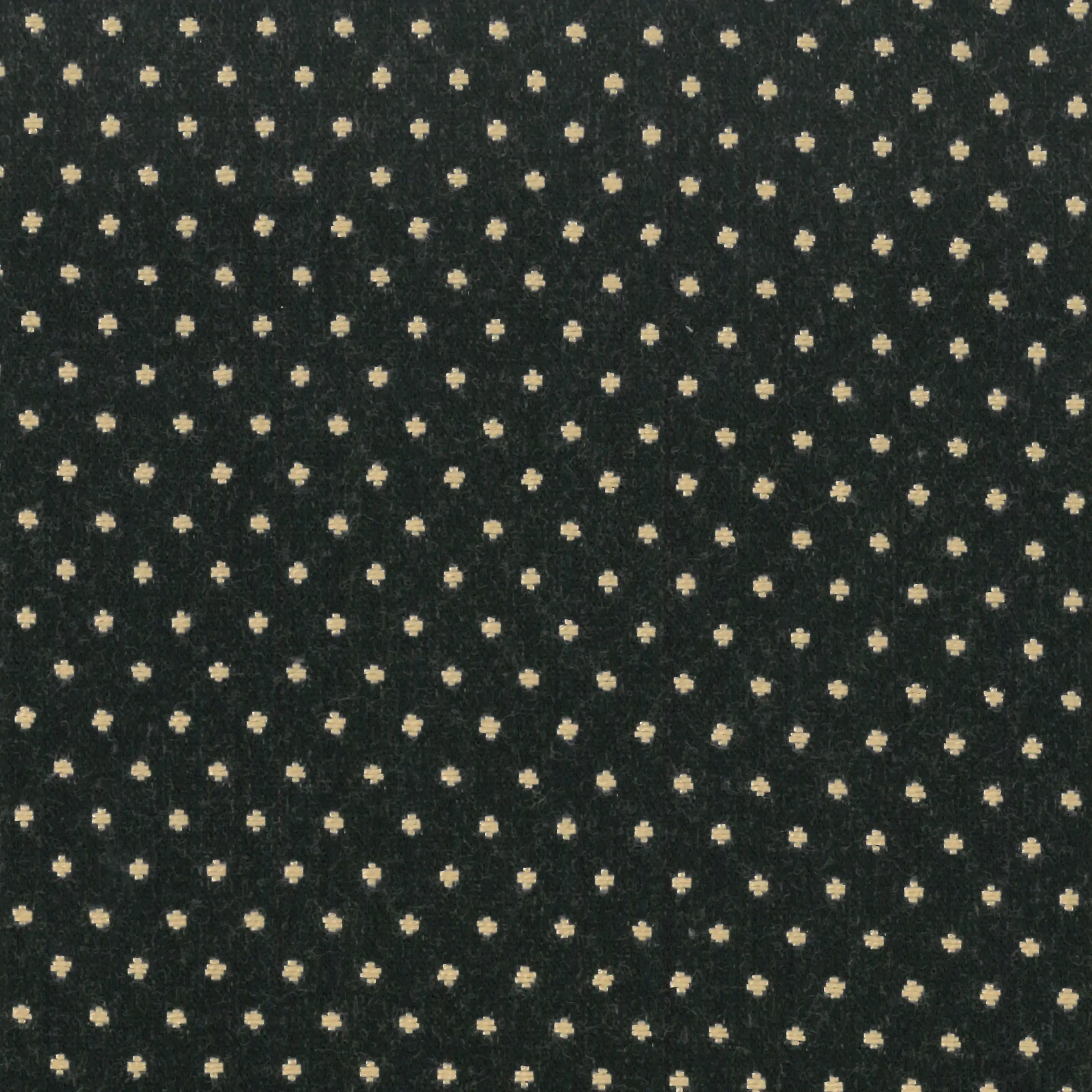 Black | Paola