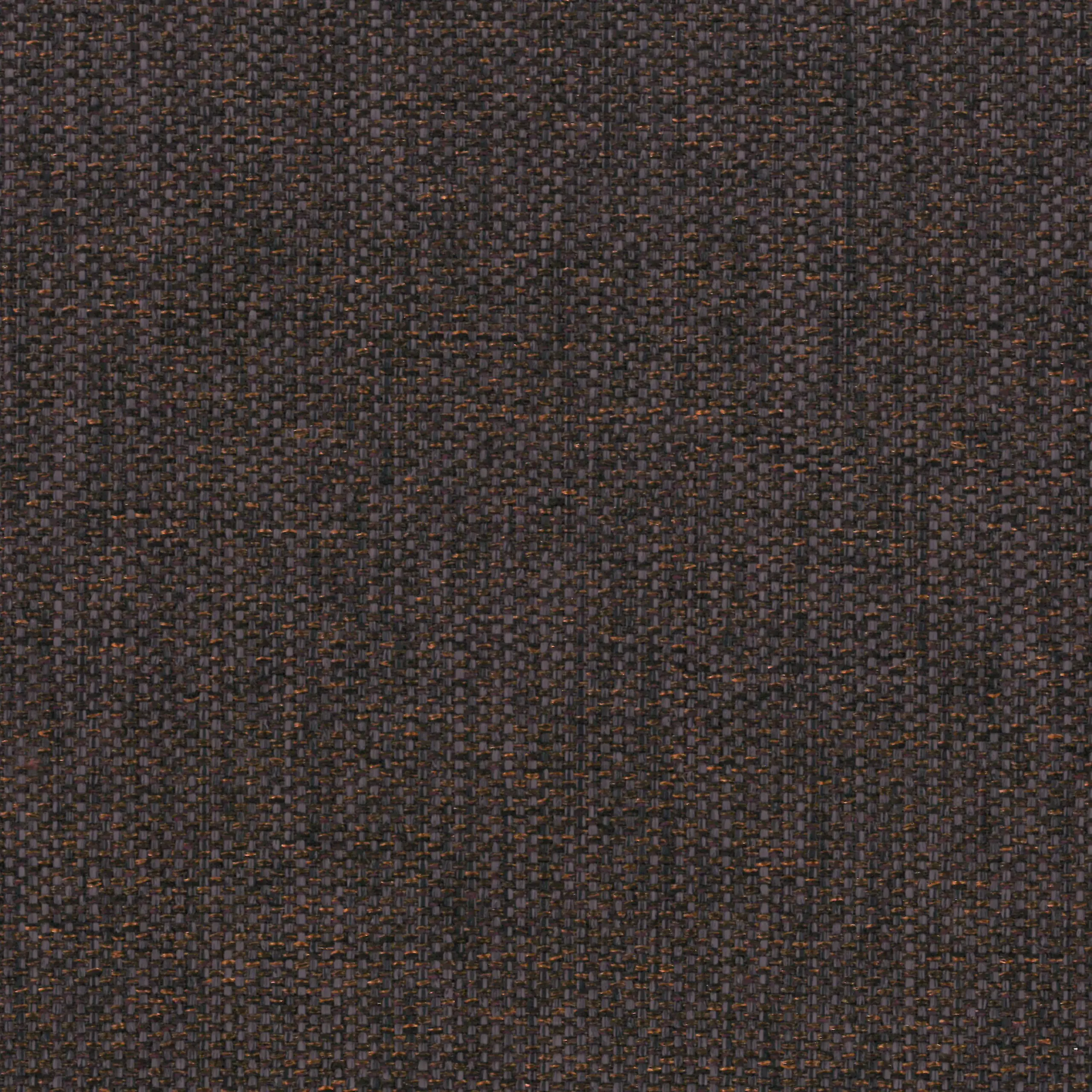 Plum 15 | Manfred